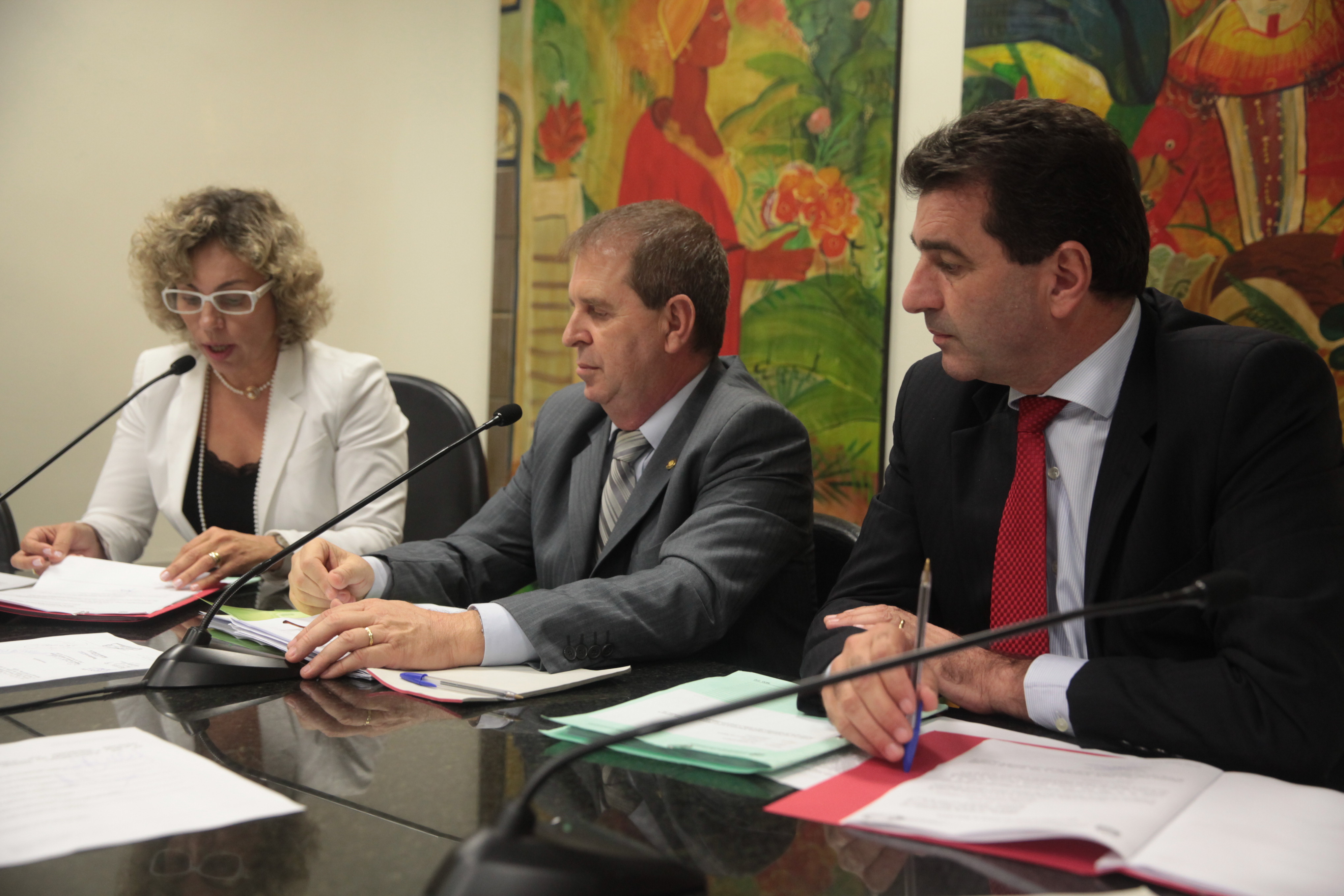 Reunião da Comissão de Segurança Pública