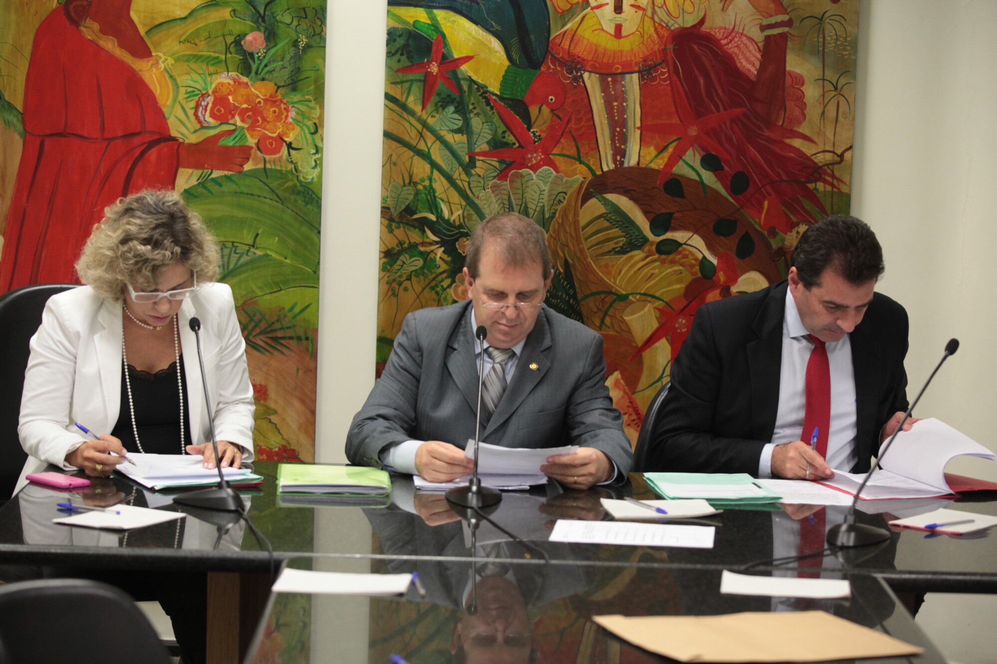 Comissão aprova delegação de serviços de remoção e depósito de veículos