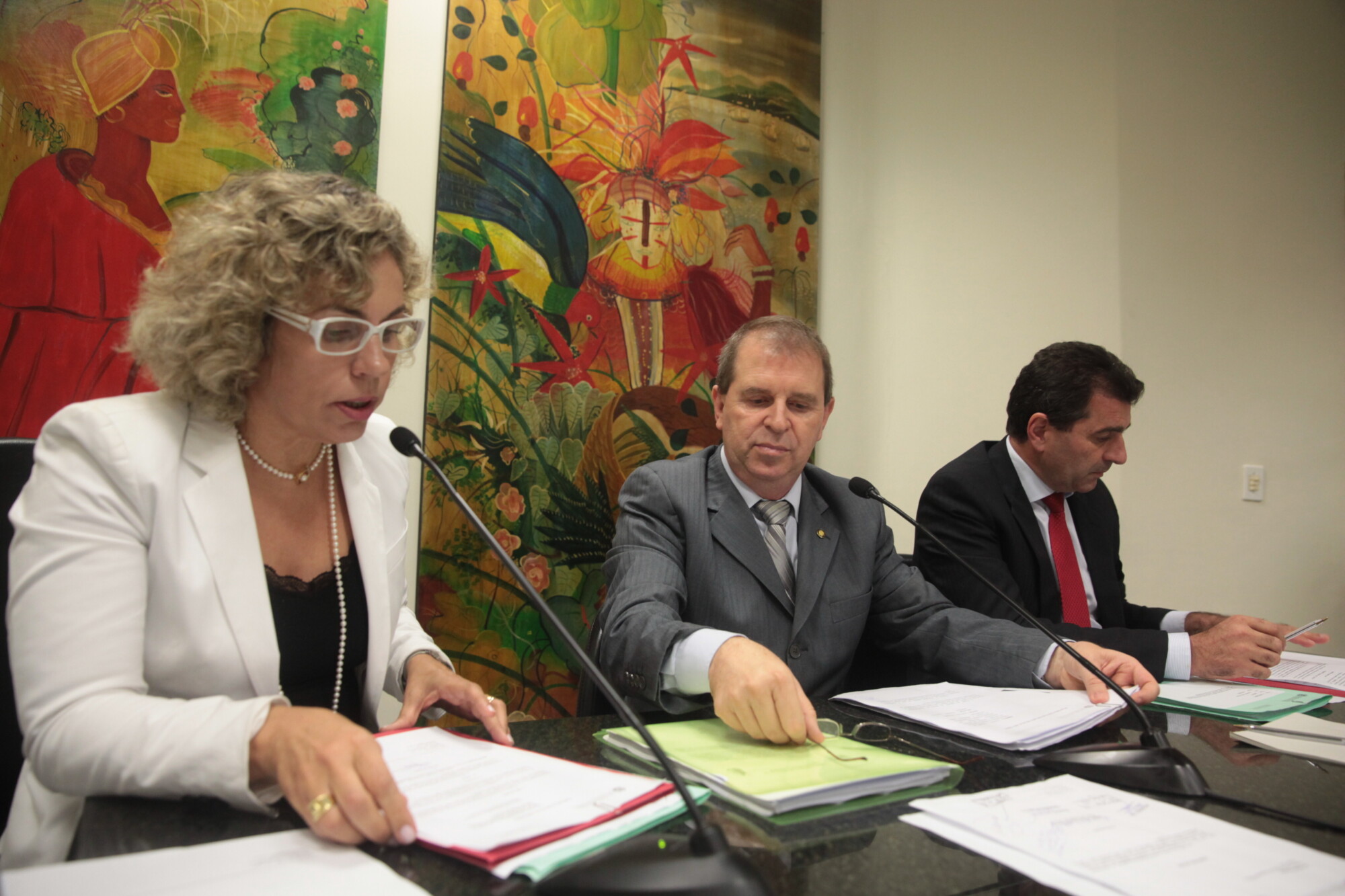 Aprovado PL que autoriza o Estado a delegar remoção e depósito de veículos