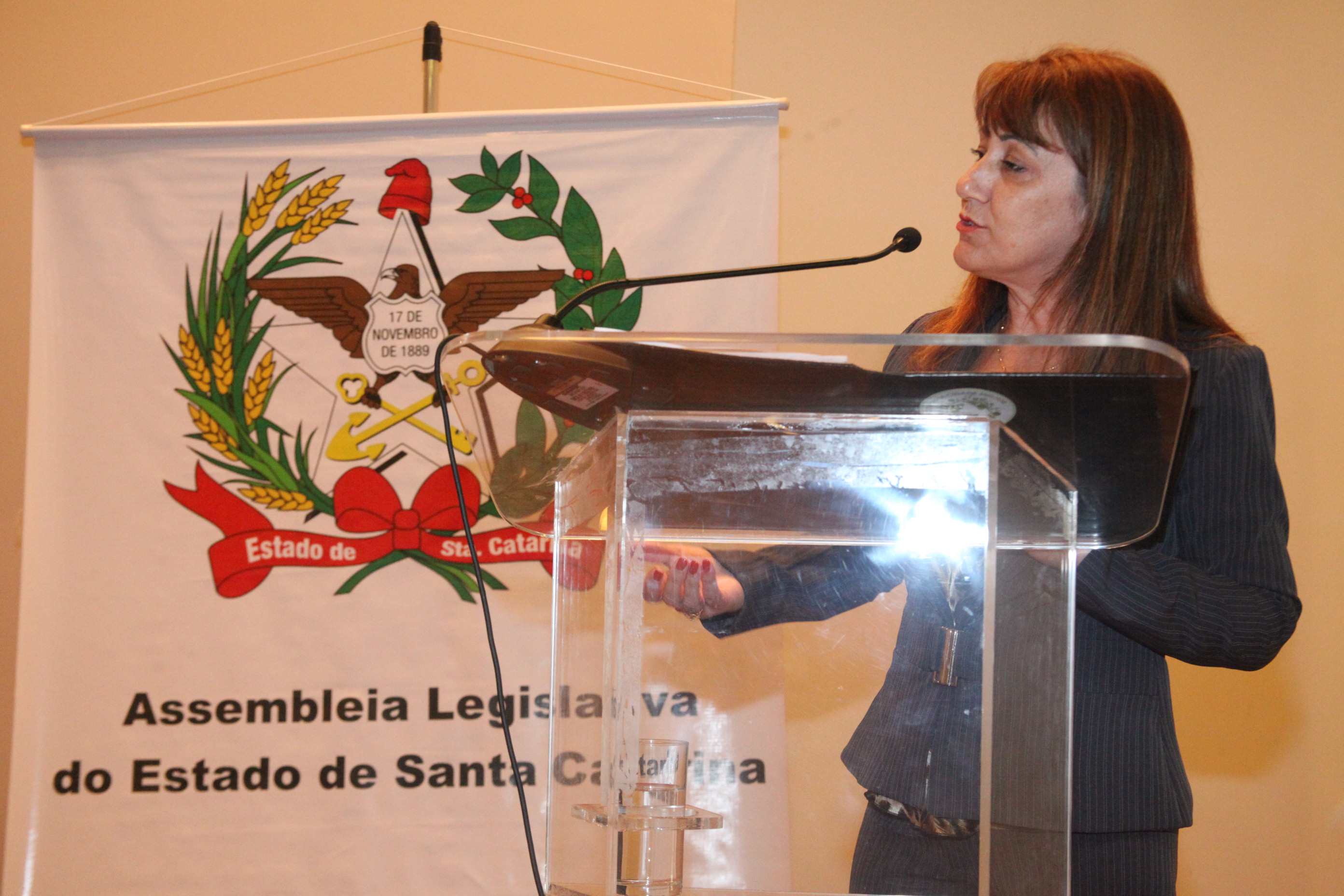 Seminário de Prevenção de Deficiências. Foto: Fábio Queiroz / Agência AL