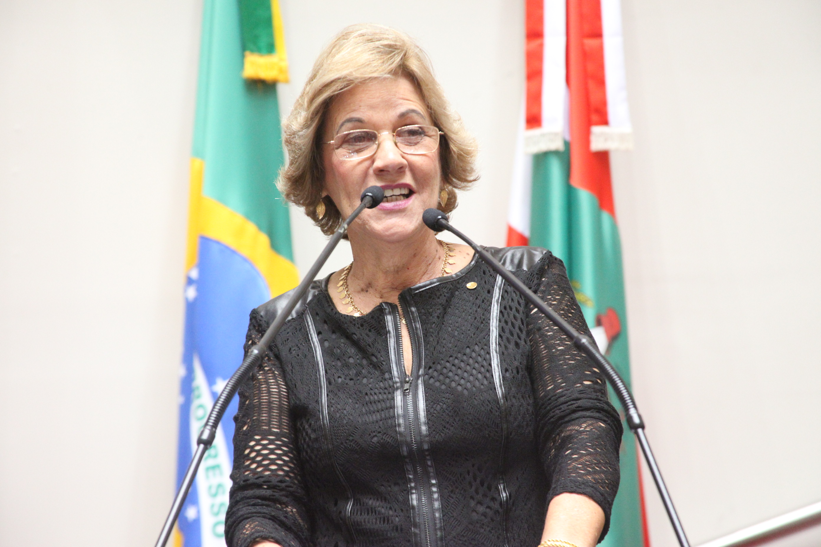 PMDB 48 ANOS. Foto: Fábio Queiroz / Agência AL