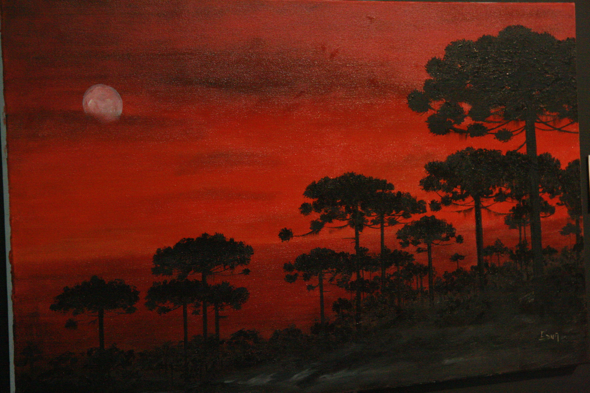 Exposição São Joaquim. Fotos:Eduardo Guedes de Oliveira / Agência AL