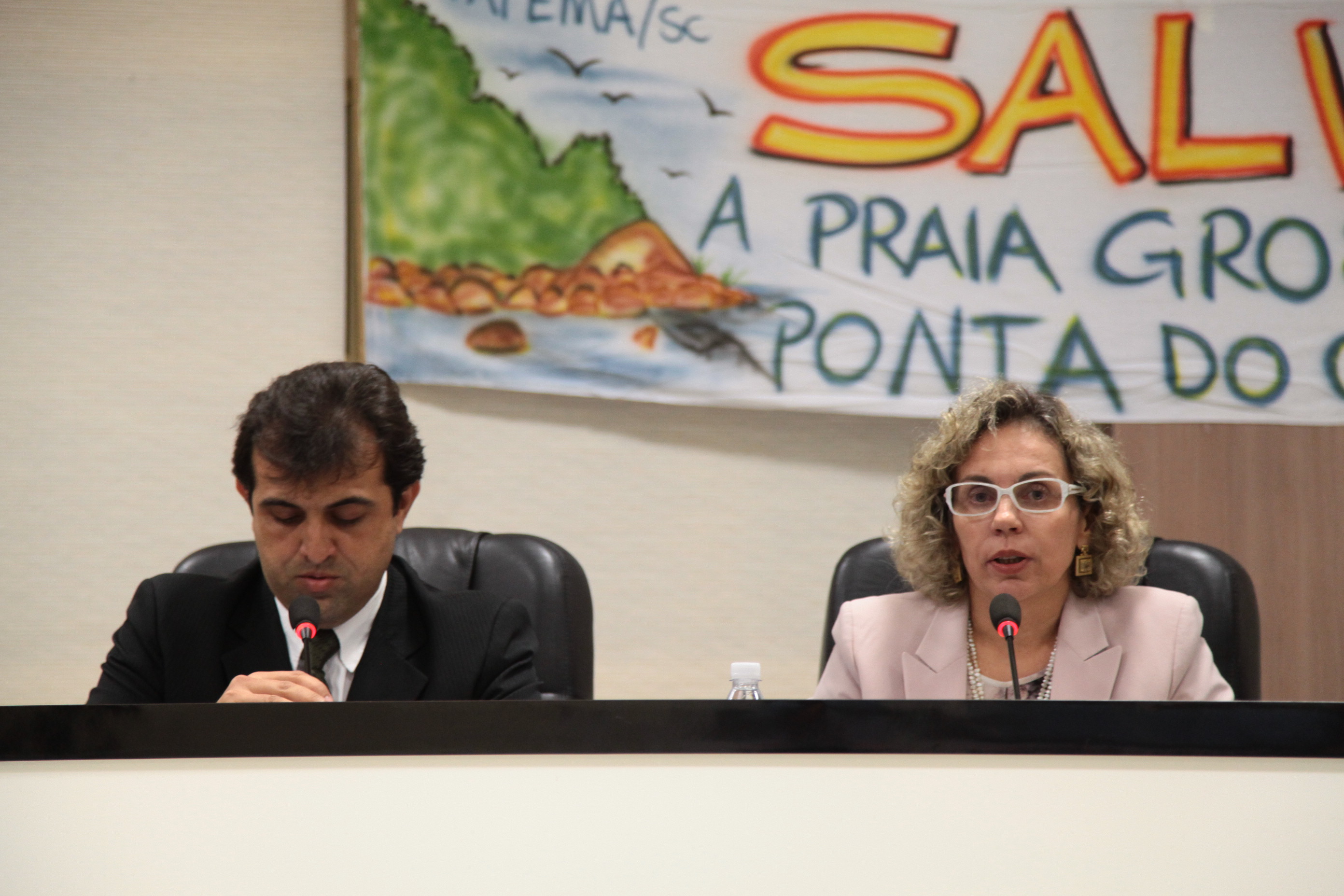 Audiência Pública sobre o PL 0605.2/2013 que cria o Movimento Natural da Praia Grossa Itapema. Foto: Miriam Zomer/Agência AL