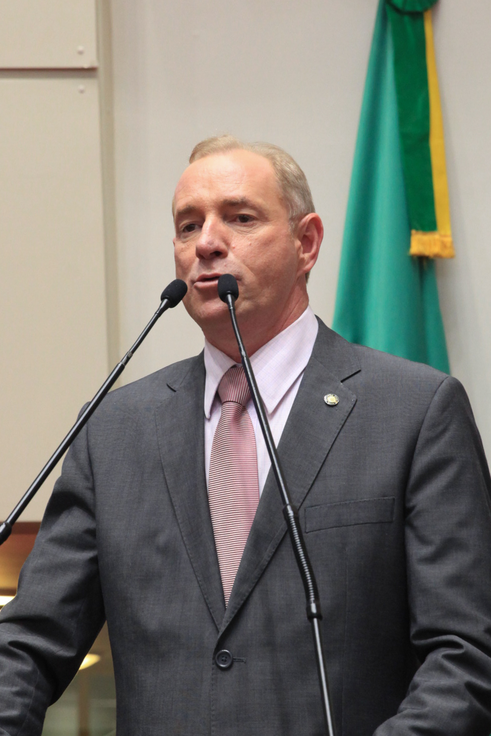 Plenário Osni Régis - Dep. Aldo Schneider (PMDB) - Foto: Juliana Stadnik / Agência AL