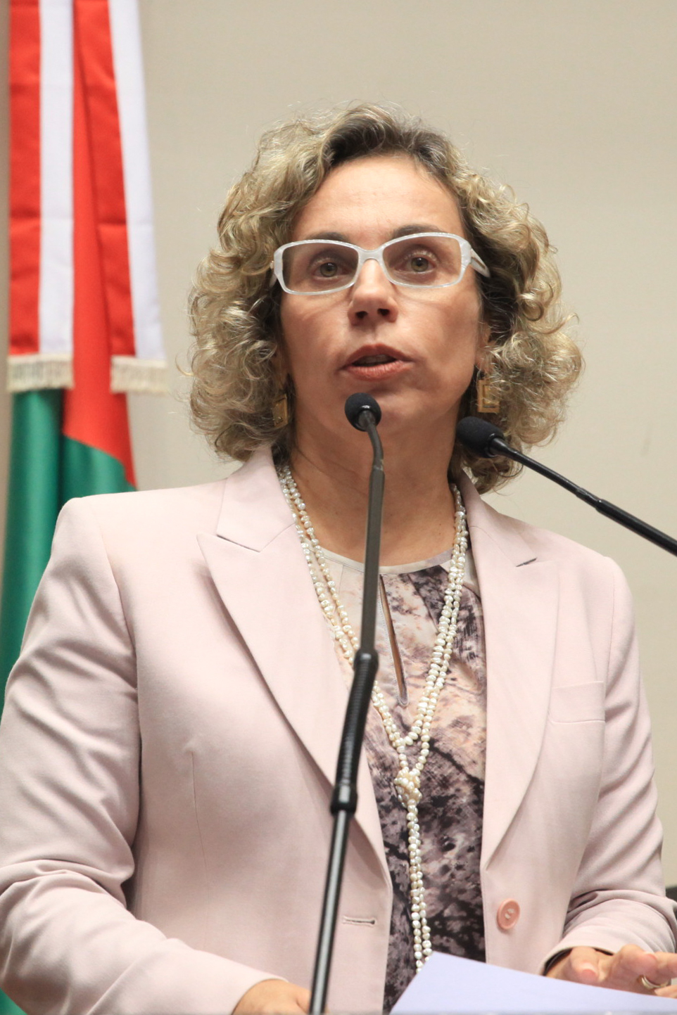 Plenário Osni Régis - Dep. Ana Paula Lima (PT) - Foto: Juliana Stadnik / Agência AL