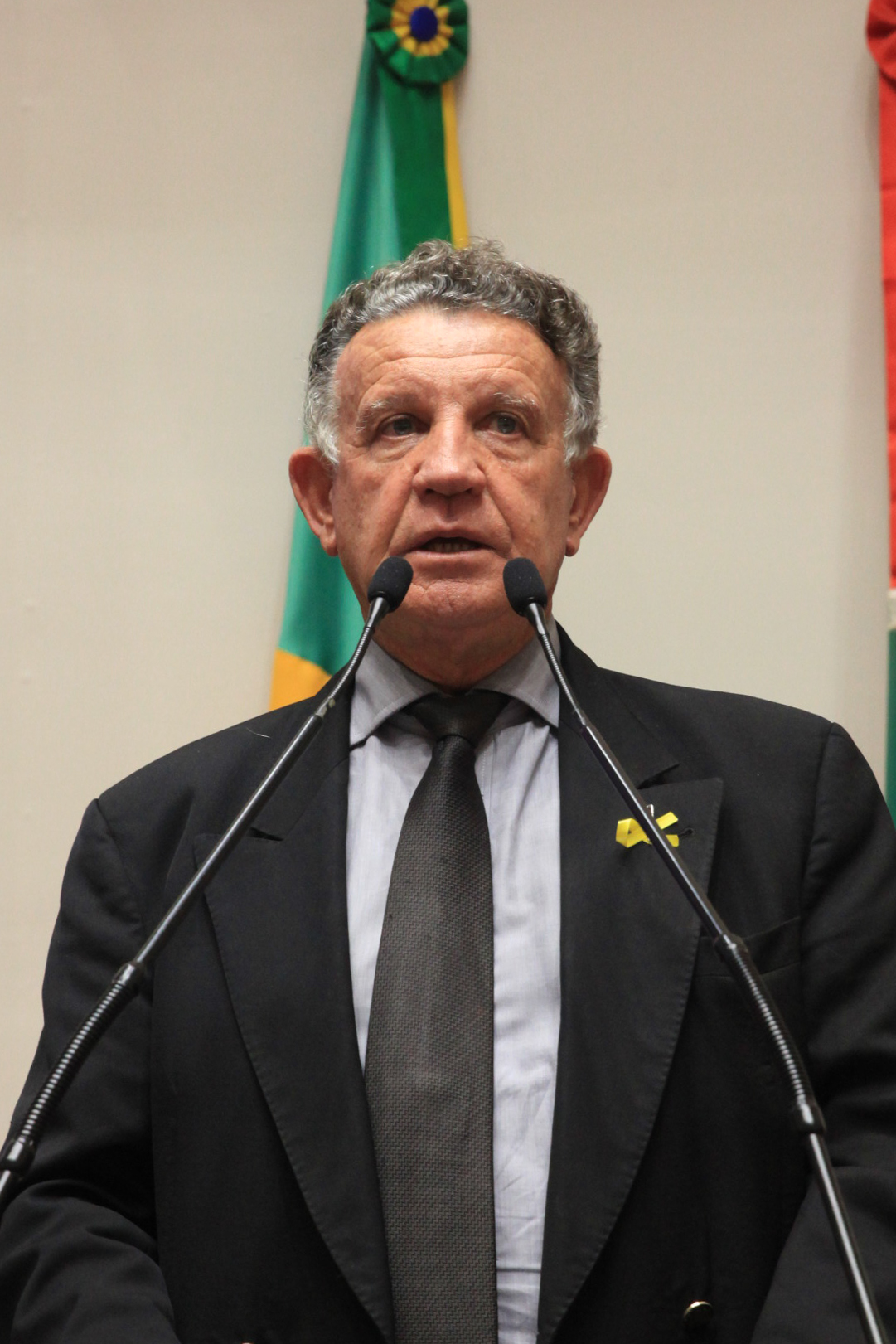 Plenário Osni Régis - Dep. Edison Andrino (PMDB) - Foto: Juliana Stadnik / Agência AL