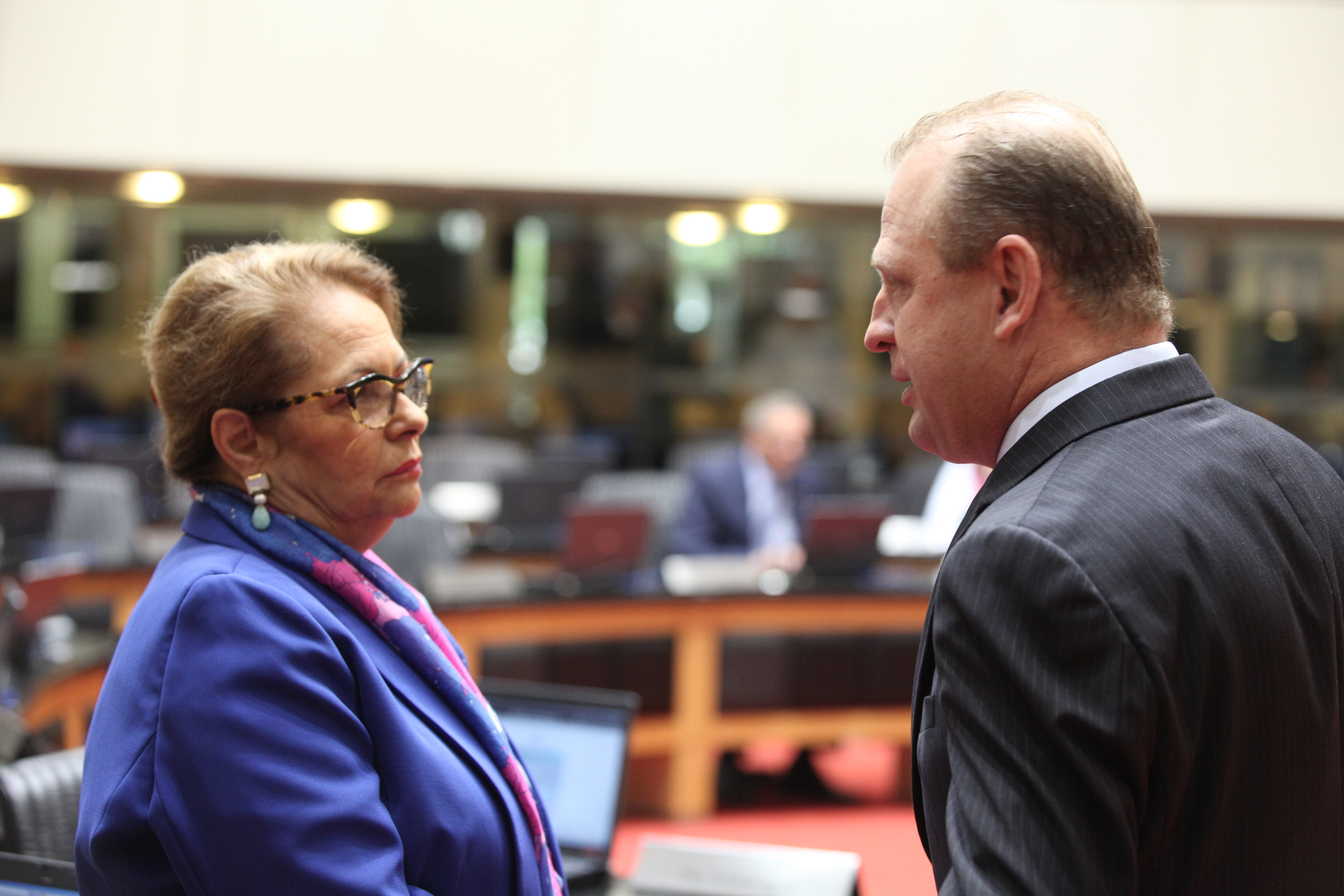 Sessão Plenária - Deputada Ada de Luca e deputado Gelson Merísio