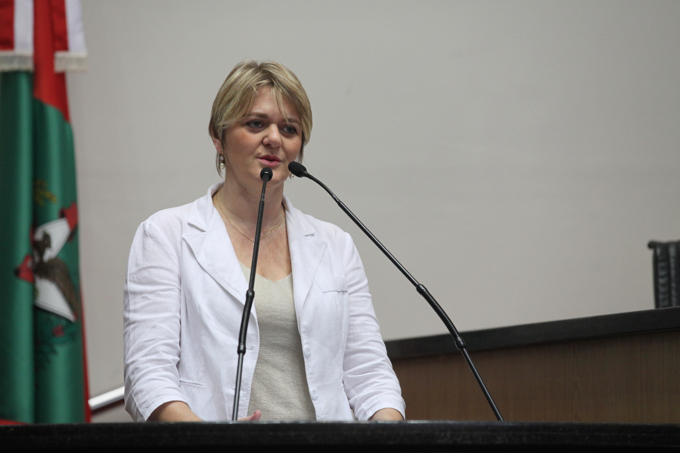 Sessão Ordinária - Deputada Luciane Carminatti (PT)