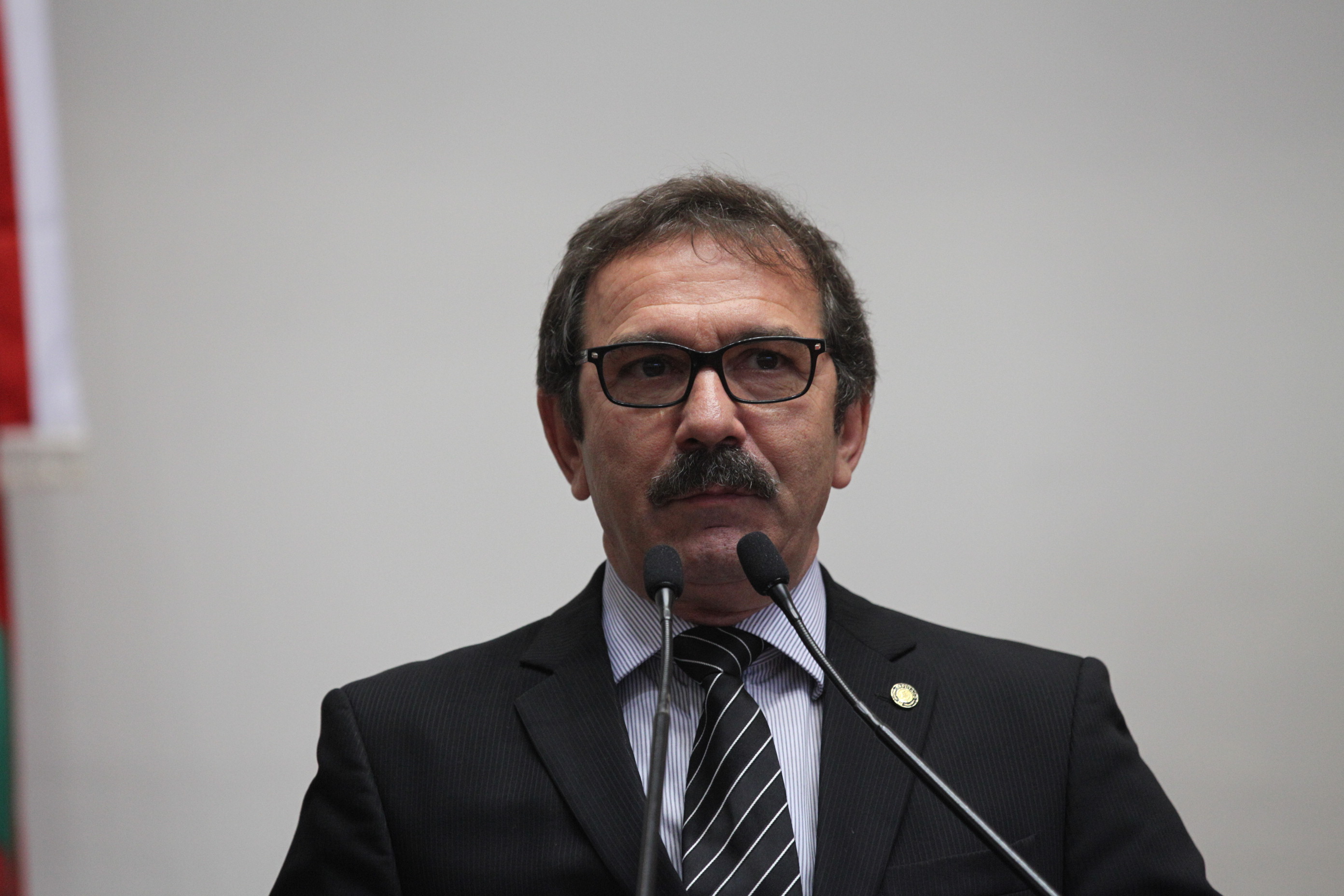 Sessão Ordinária  - Deputado Serafim Venzon (PSDB)