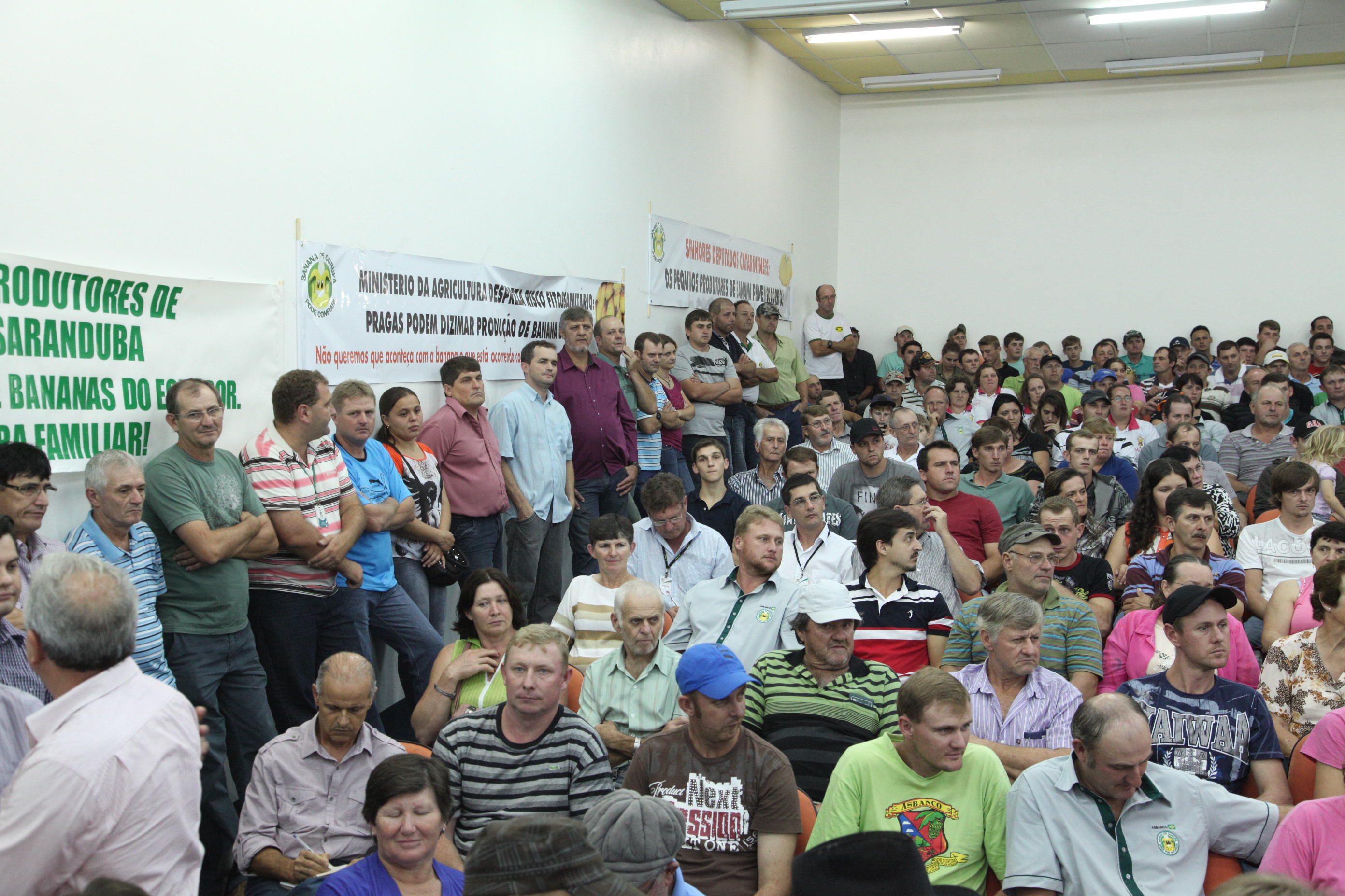 Audiência Pública em Guaramirim – Discussão sobre a importação de bananas do Equador