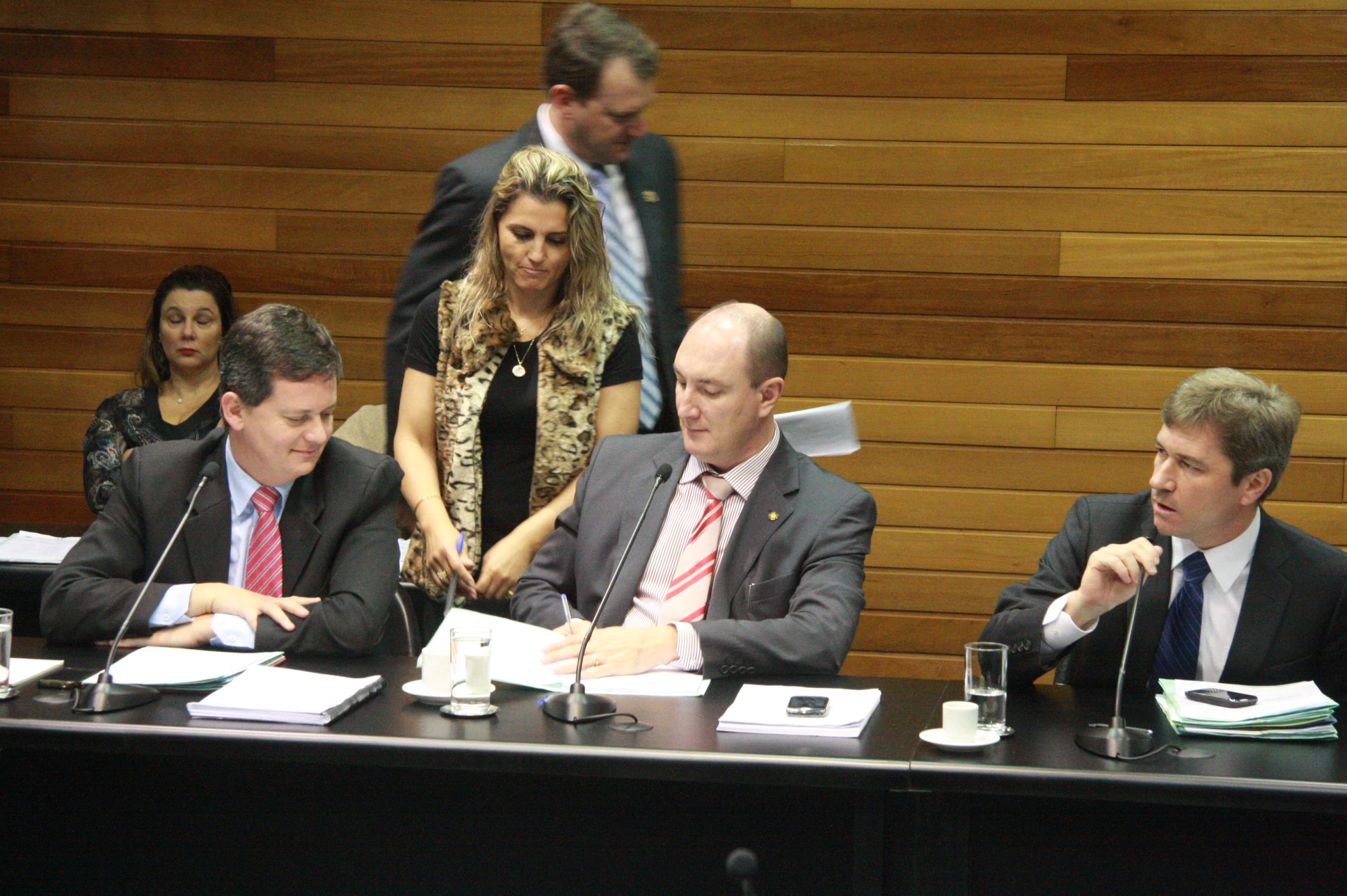 Reunião da Comissão de Constituição e Justiça. Foto: Jonas Lemos Campos/Agência AL