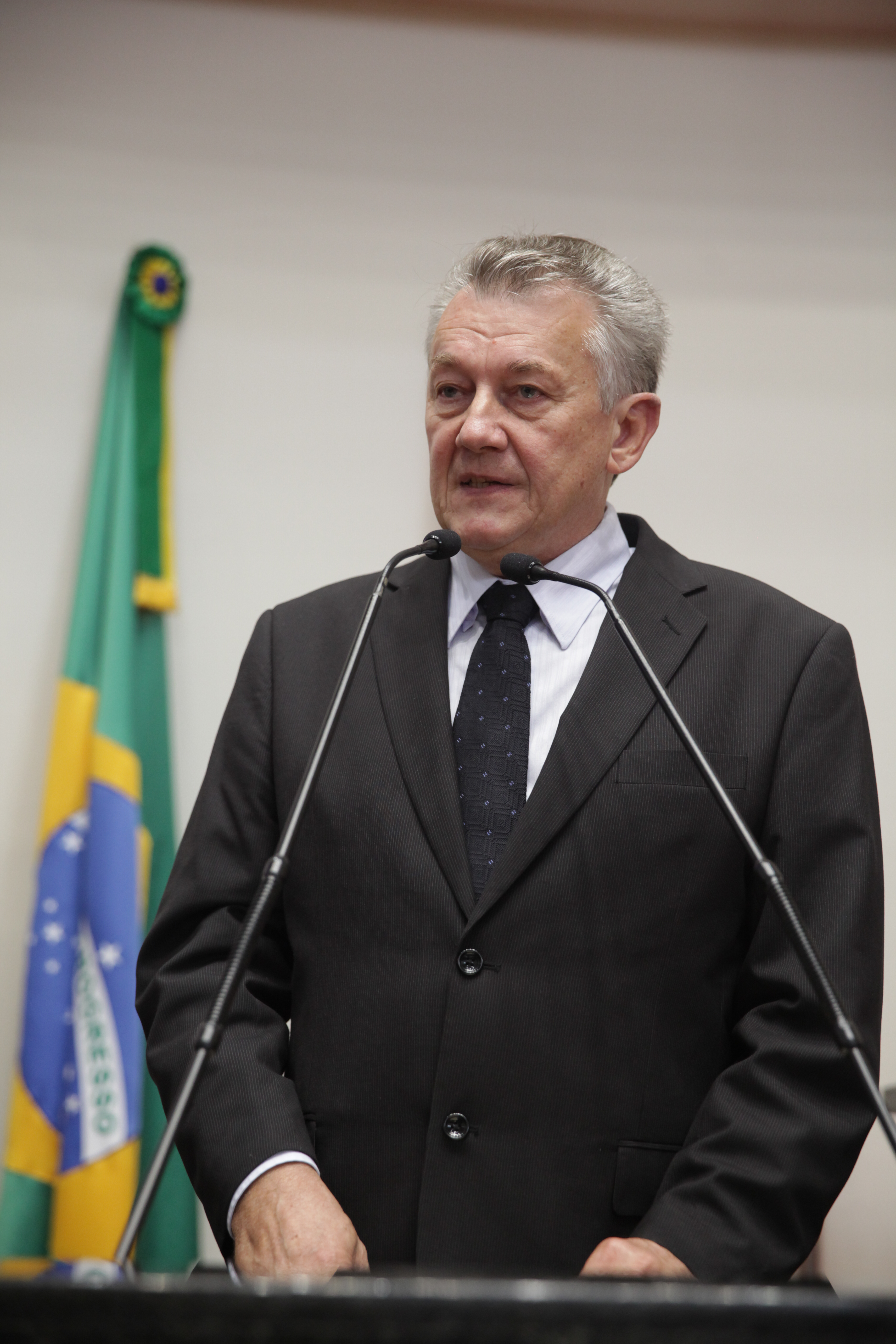 Sessão Ordinária - Plenário Osni Régis - Dep. Eni Voltolini (PP) - Foto: Carlos Kilian / Agência AL