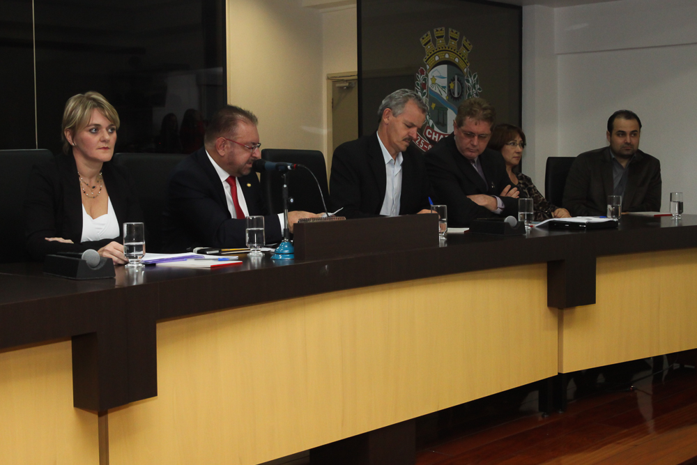 Audiência Pública - Curso de Medicina na UFFS - Foto: Juliana Stadnik / Agência AL