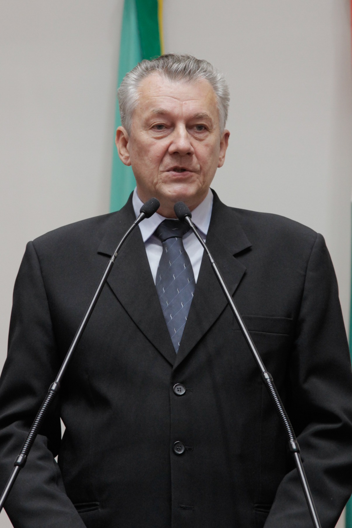 Sessão Ordinária - Plenário Osni Régis - Dep. Eni Voltolini (PP) - Foto: Juliana Stadnik / Agência AL