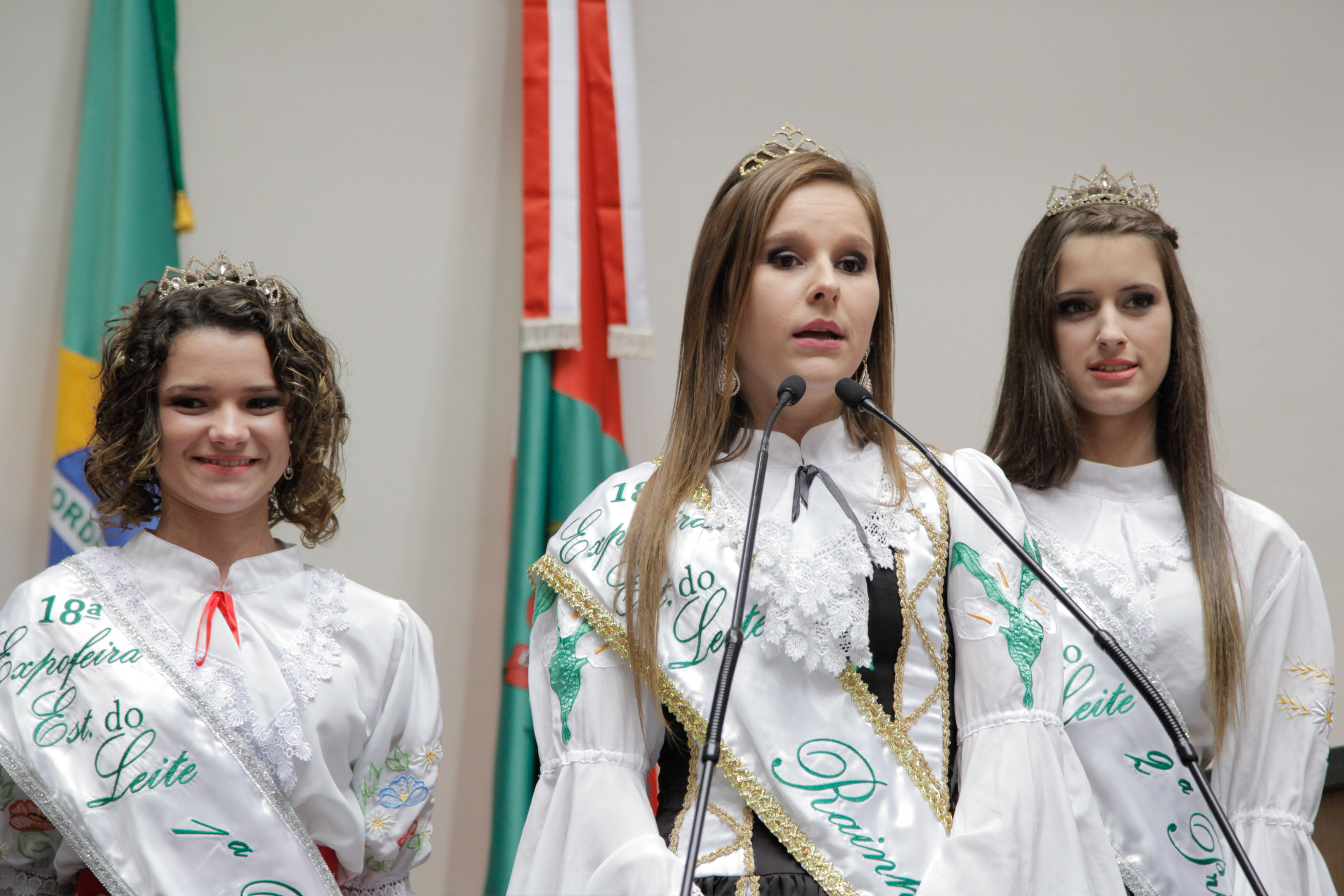 Sessão Ordinária - Plenário Osni Régis - Foto: Juliana Stadnik / Agência AL