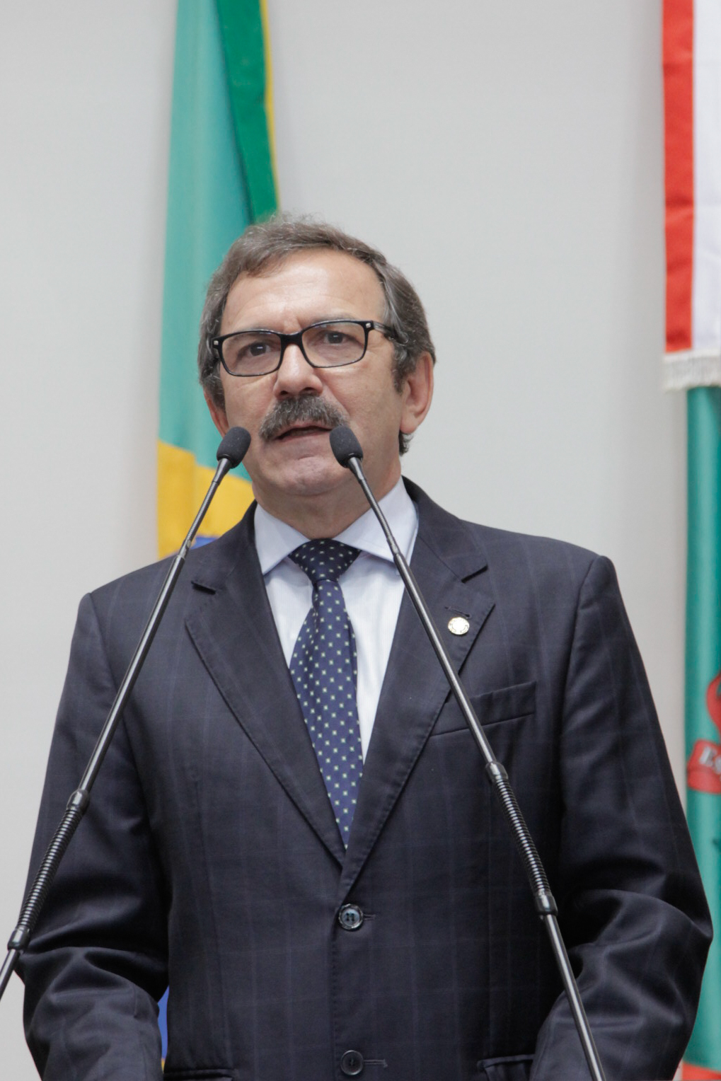 Sessão Ordinária - Plenário Osni Régis - Dep. Serafim Venzon (PSDB) - Foto: Juliana Stadnik / Agência AL