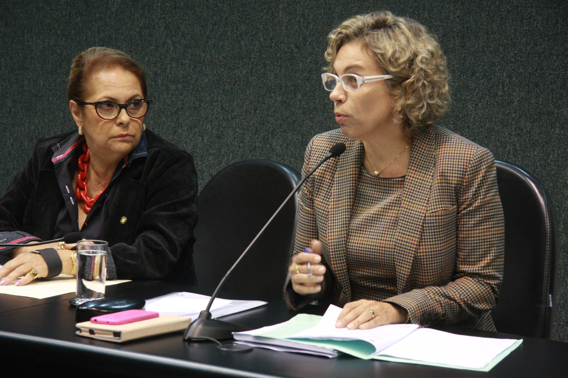 Reunião da Comissão de Turismo e Meio Ambiente - Itapema - Fotos: Eduardo Guedes de Oliveira / Agência AL