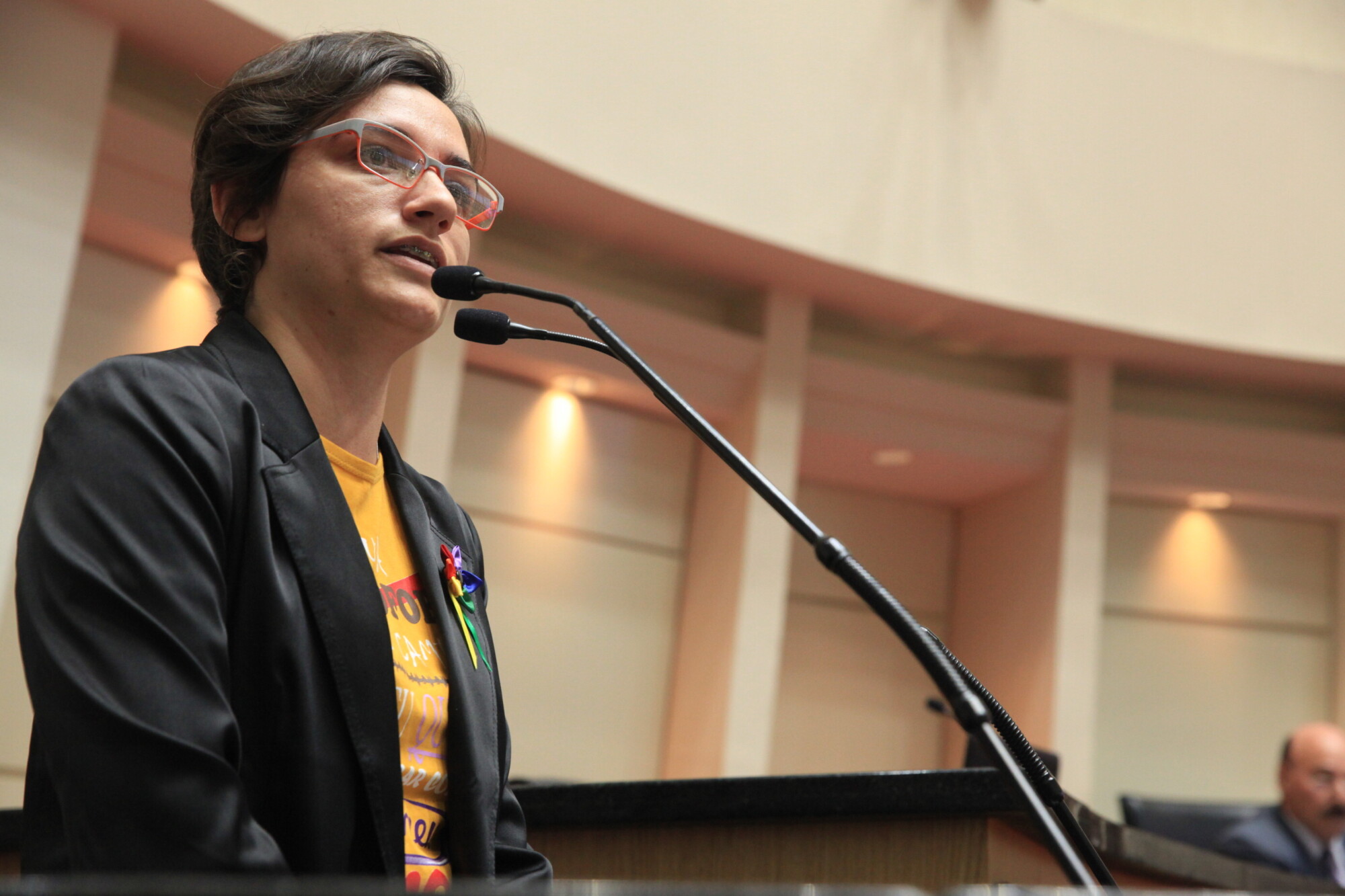 Movimento LGBT pede aprovação de conselho estadual pela Assembleia