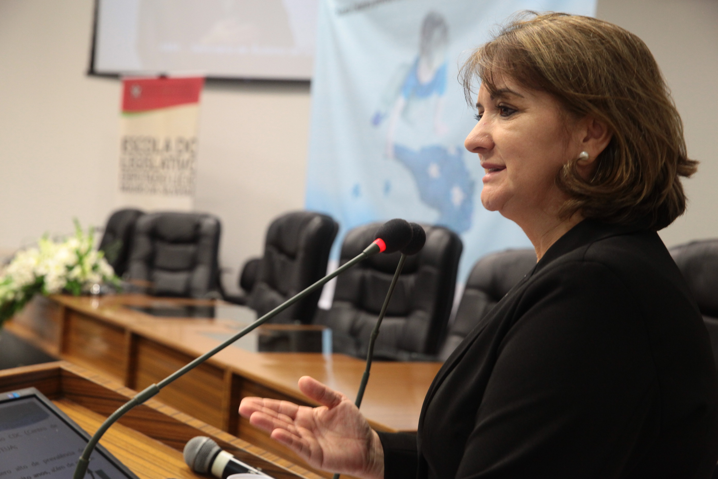 Seminário sobre Autismo em Joinville. Palestra sobre Políticas Públicas para pessoas com TEA. Janice AP. Steidel Krasniak.  Foto: Miriam Zomer/Agência AL