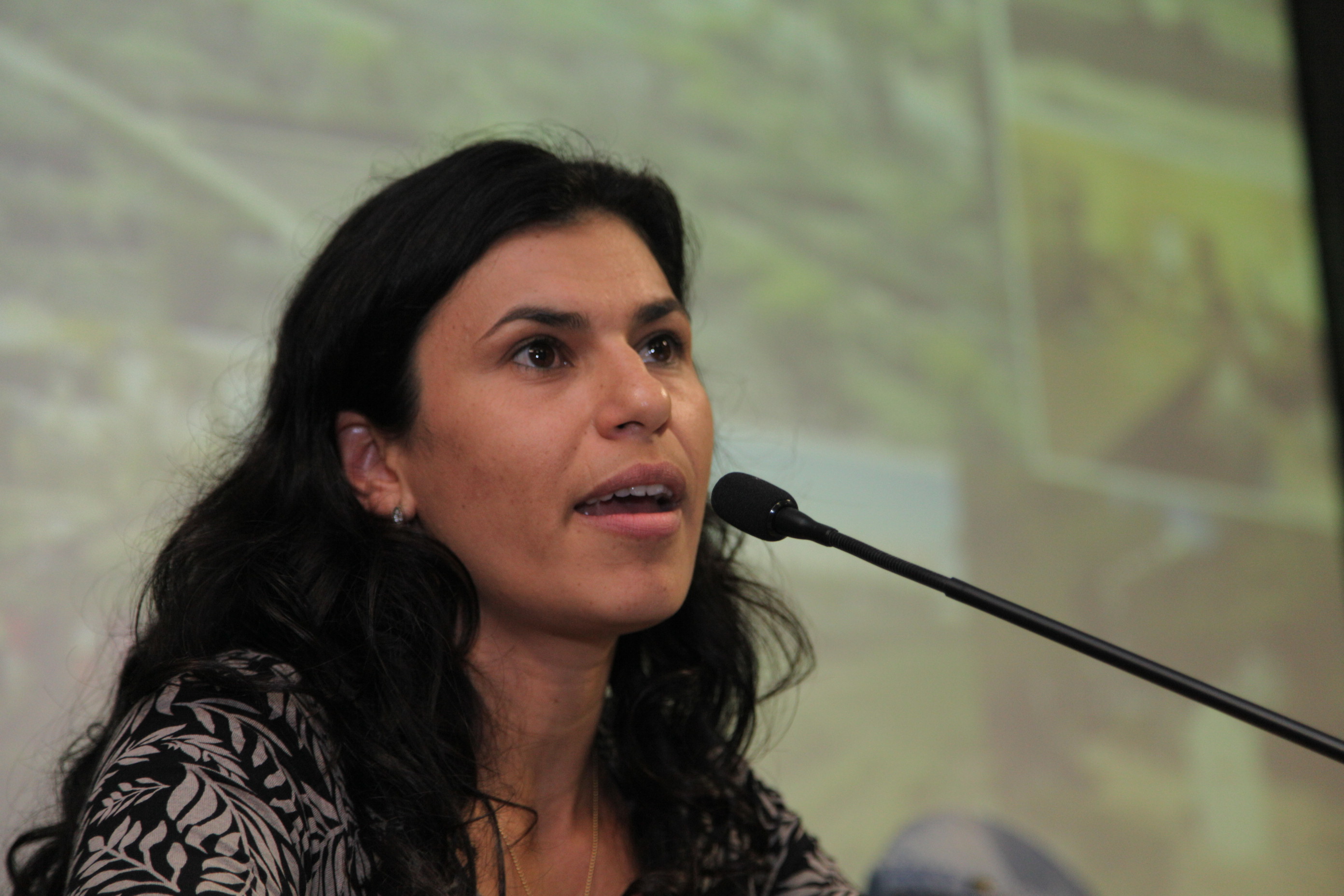 Sustentar 2014 - Juliana Torquato - Centro de Estudos Sociais da Universidade de Coimbra