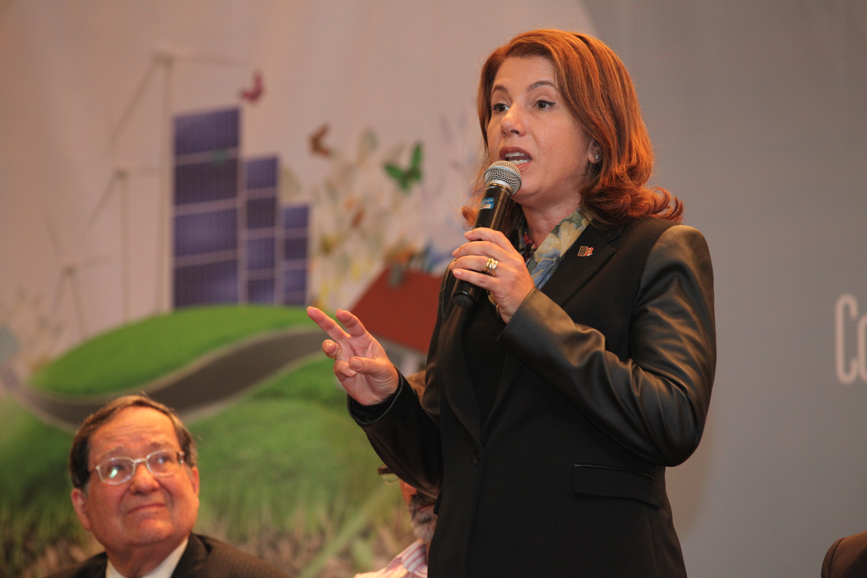 Sustentar 2014 - Lucia Gomes Vieira Dellagnello - Secretária de Estado do Desenvolvimento Sustentável