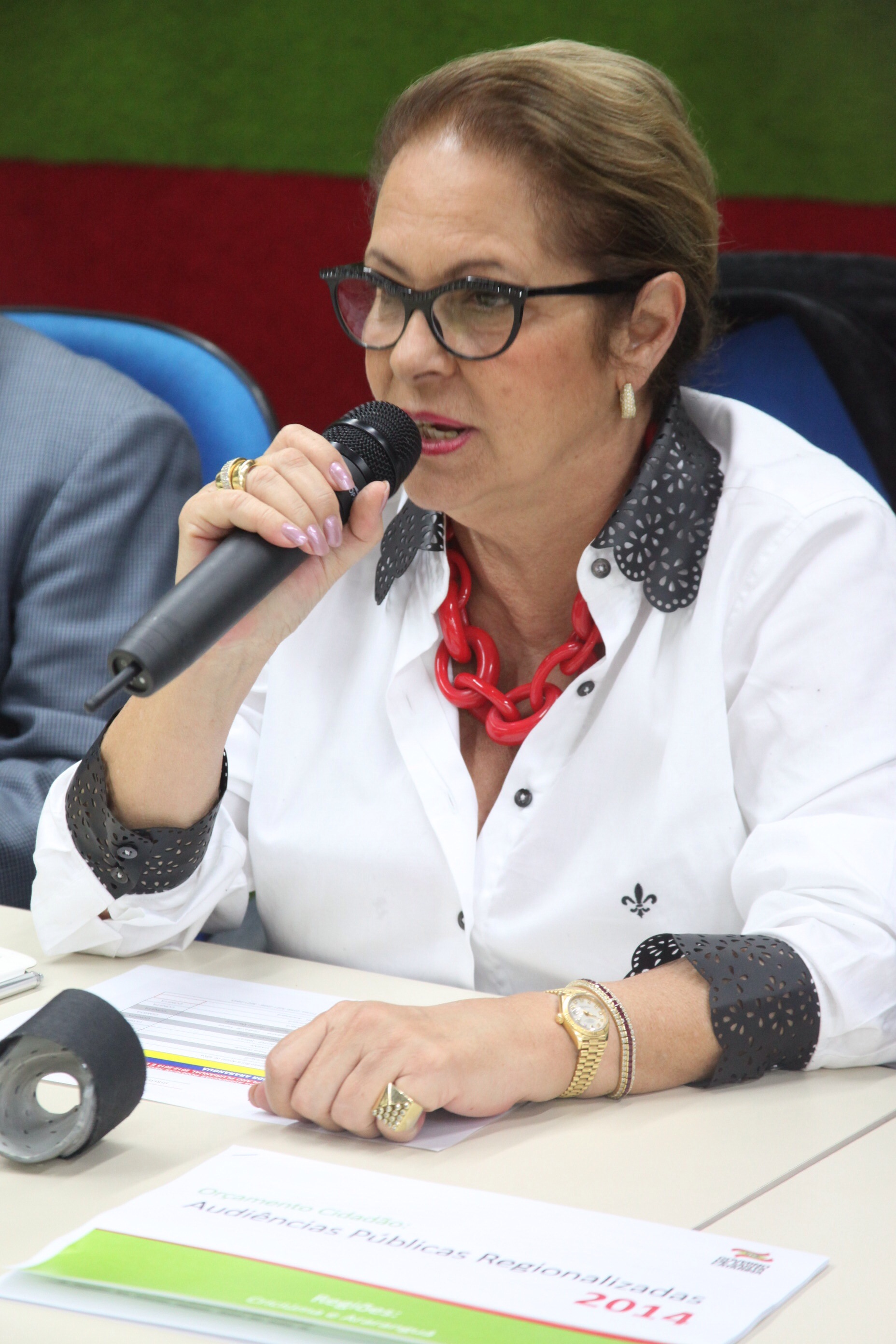 Orçamento Regionalizado Criciúma. Foto: Fábio Queiroz / Agência AL