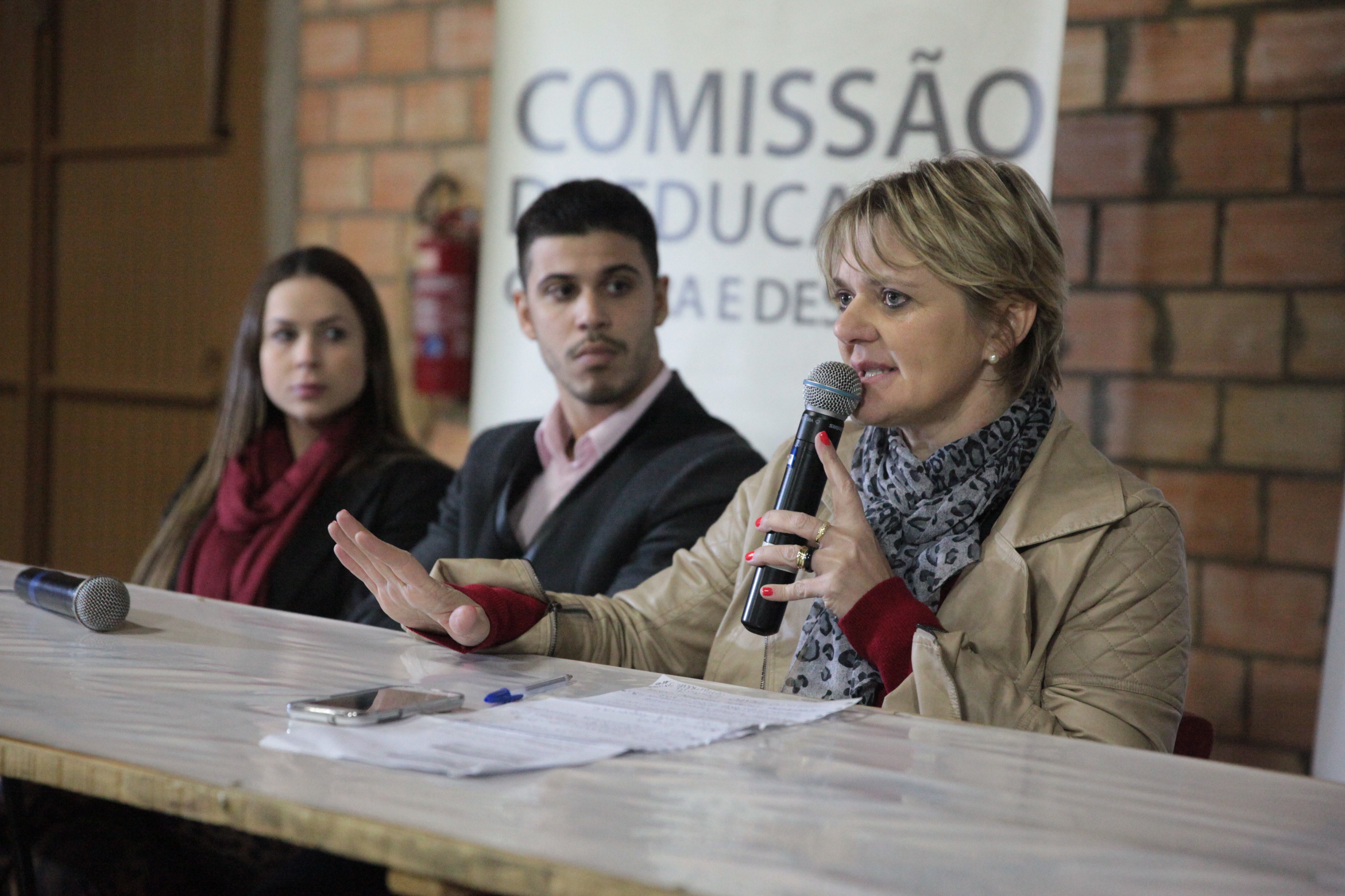 Audiência Pública - Chapecó - Foto: Lucas Gabriel Diniz / Agência AL