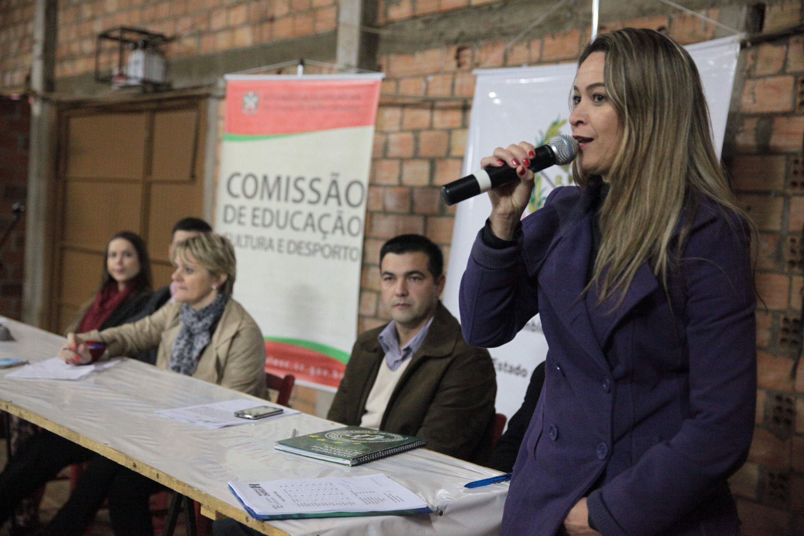 Audiência Pública - Chapecó - Foto: Lucas Gabriel Diniz / Agência AL