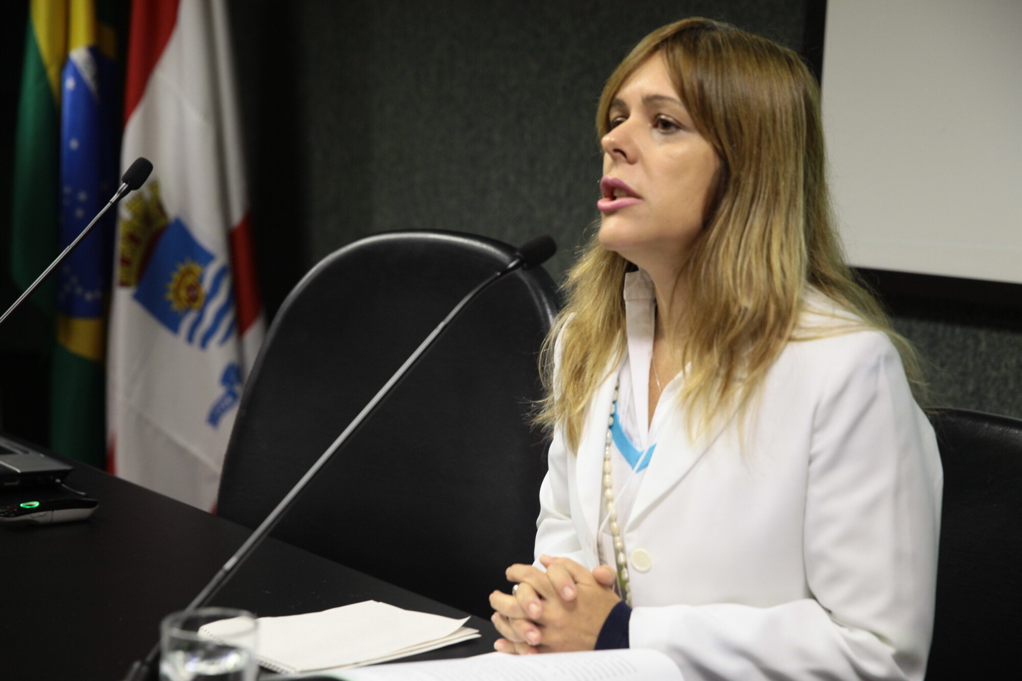 Especialistas analisam SDRs como prática de governança