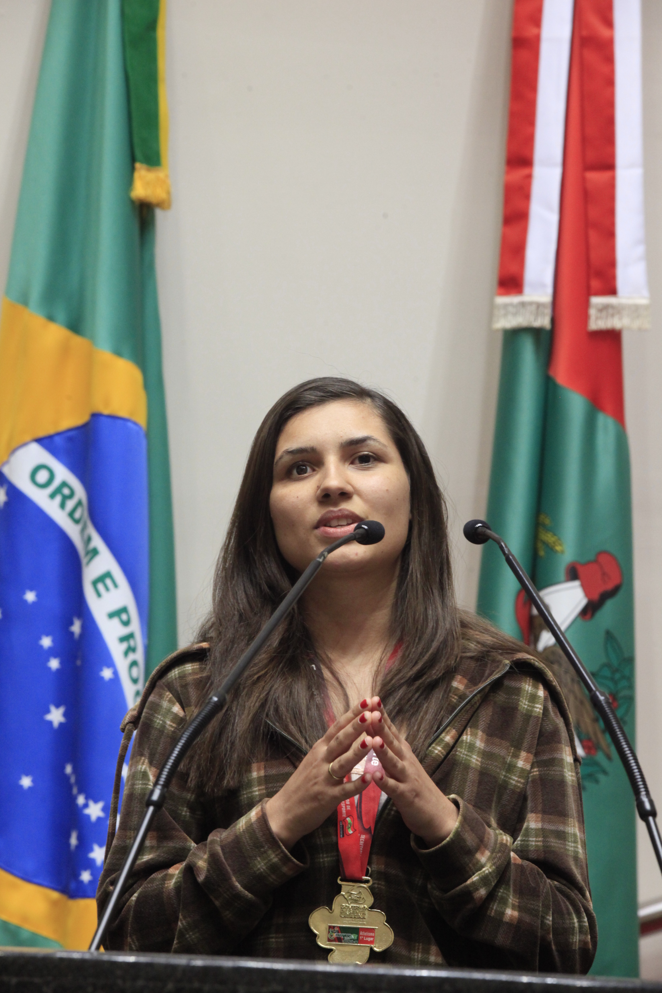 Sessão Especial em Homenagem aos 10 anos do PARAJASC   Foto Carlos Kilian/Agência AL