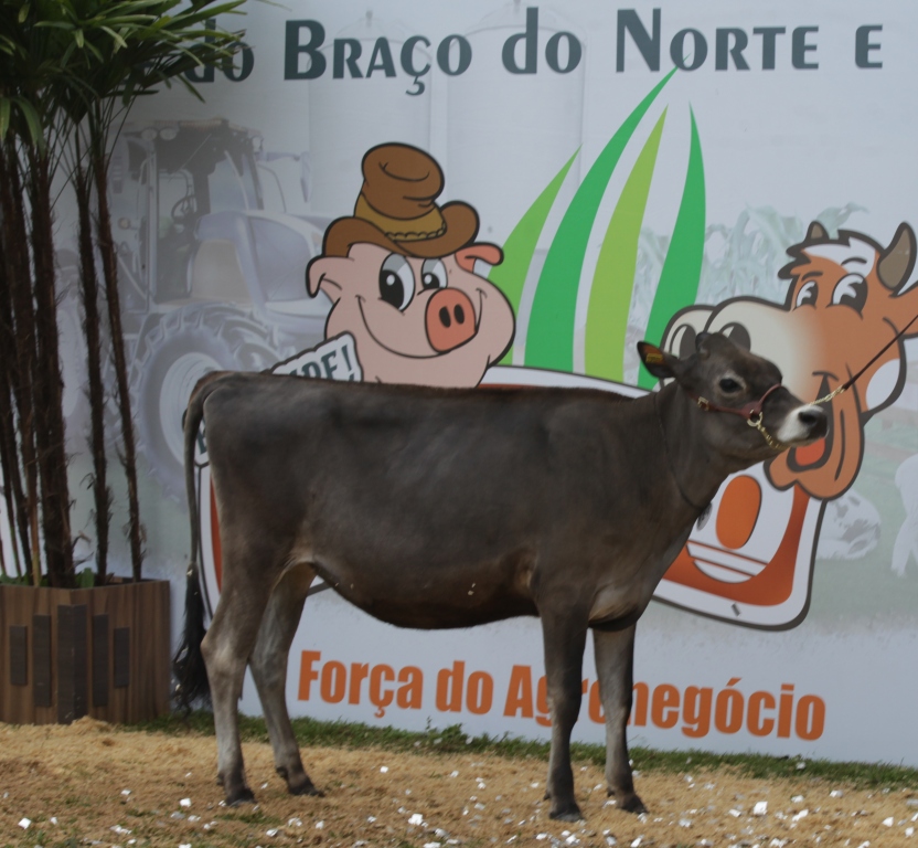 FEAGRO 2014