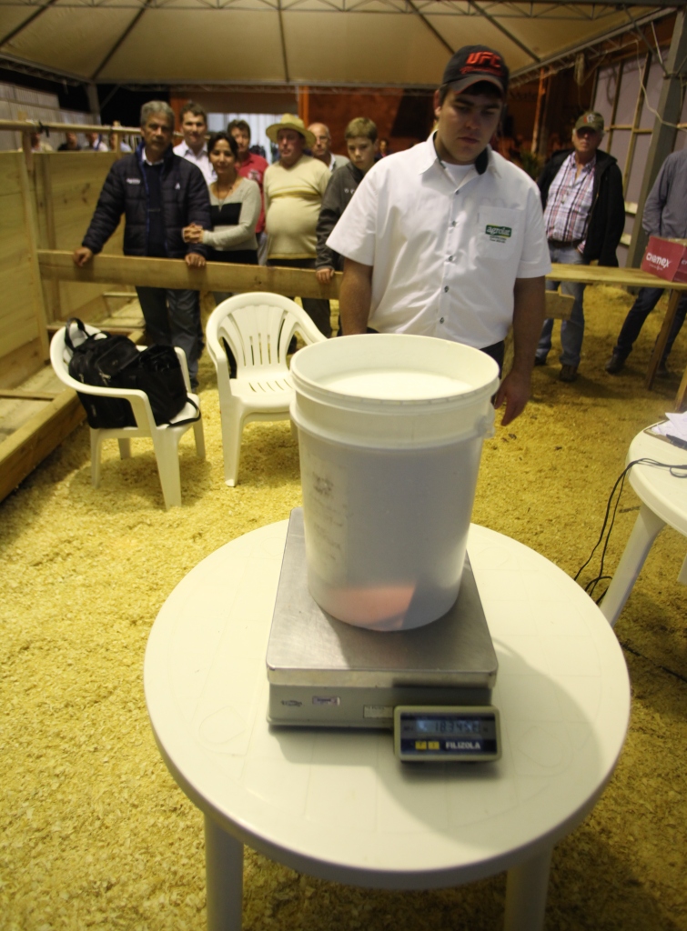 FEAGRO 2014  Foto Carlos Kilian/Agência AL