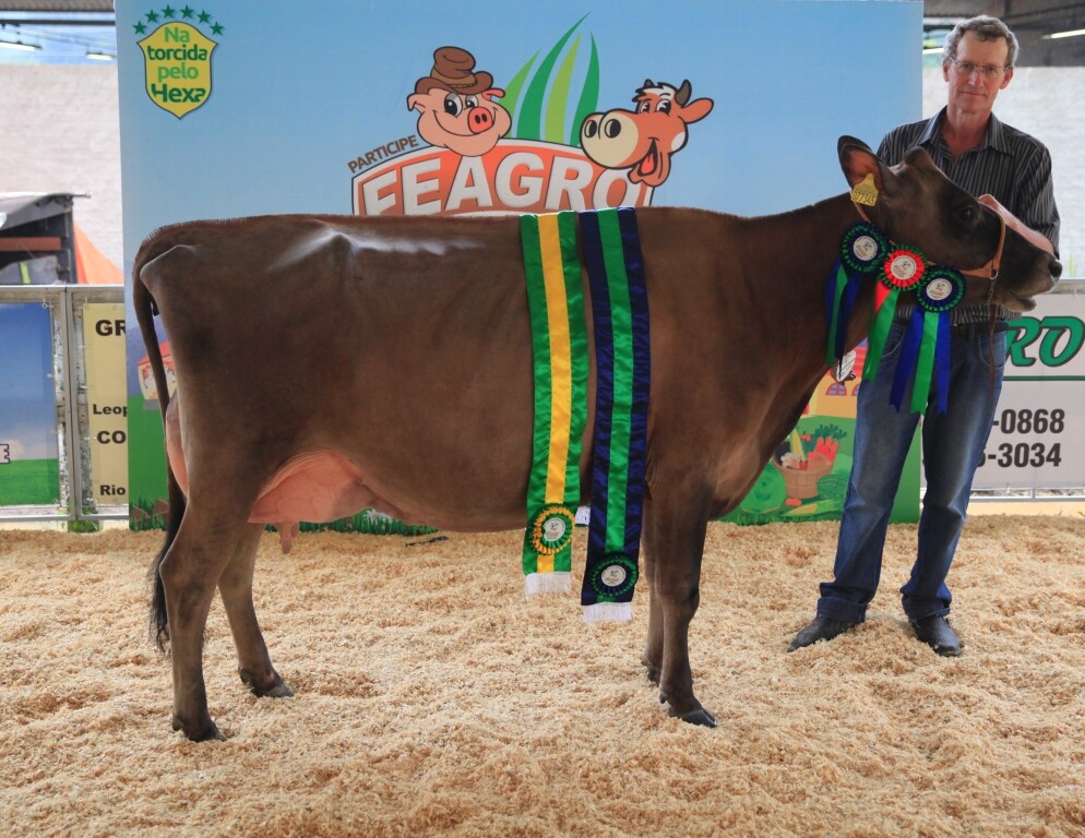 Premiações e banho de leite encerram Feagro; negócios passam dos R$ 20 mi