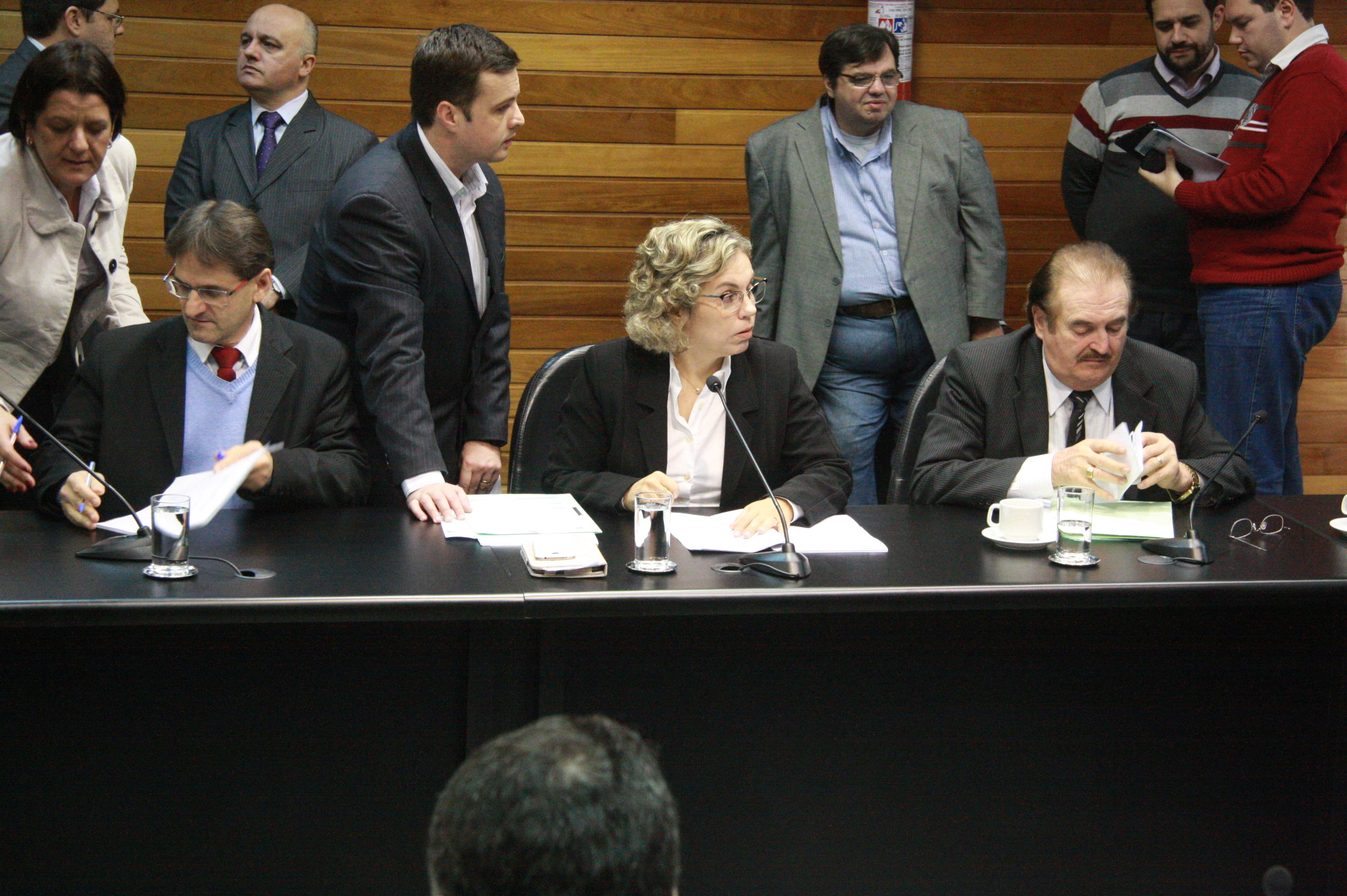 Reunião da Comissão de Constituição e Justiça. Foto: Jonas Lemos Campos/Agência AL