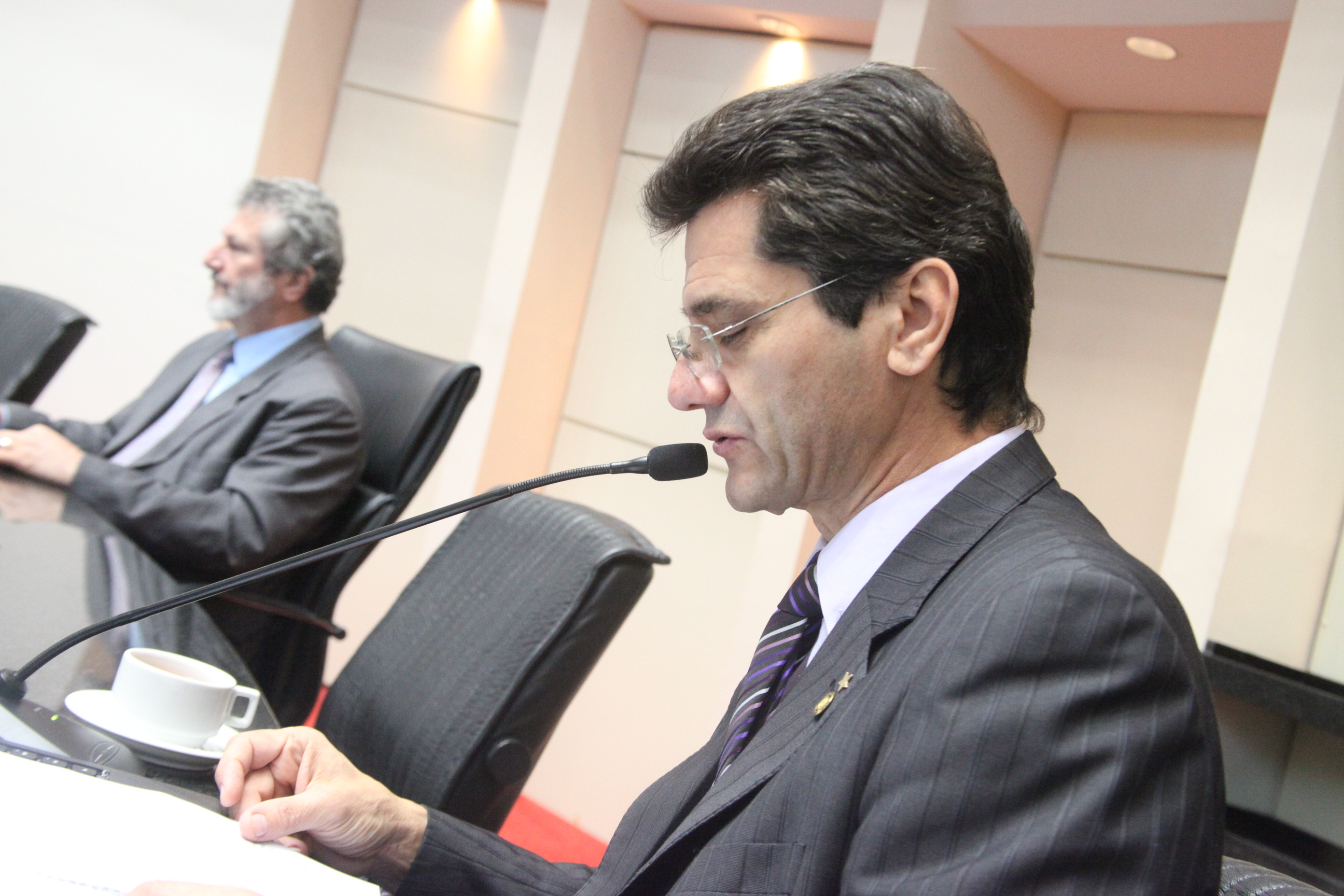 Sessão Ordinária - manhã. Foto: Fábio Queiroz / Agência AL