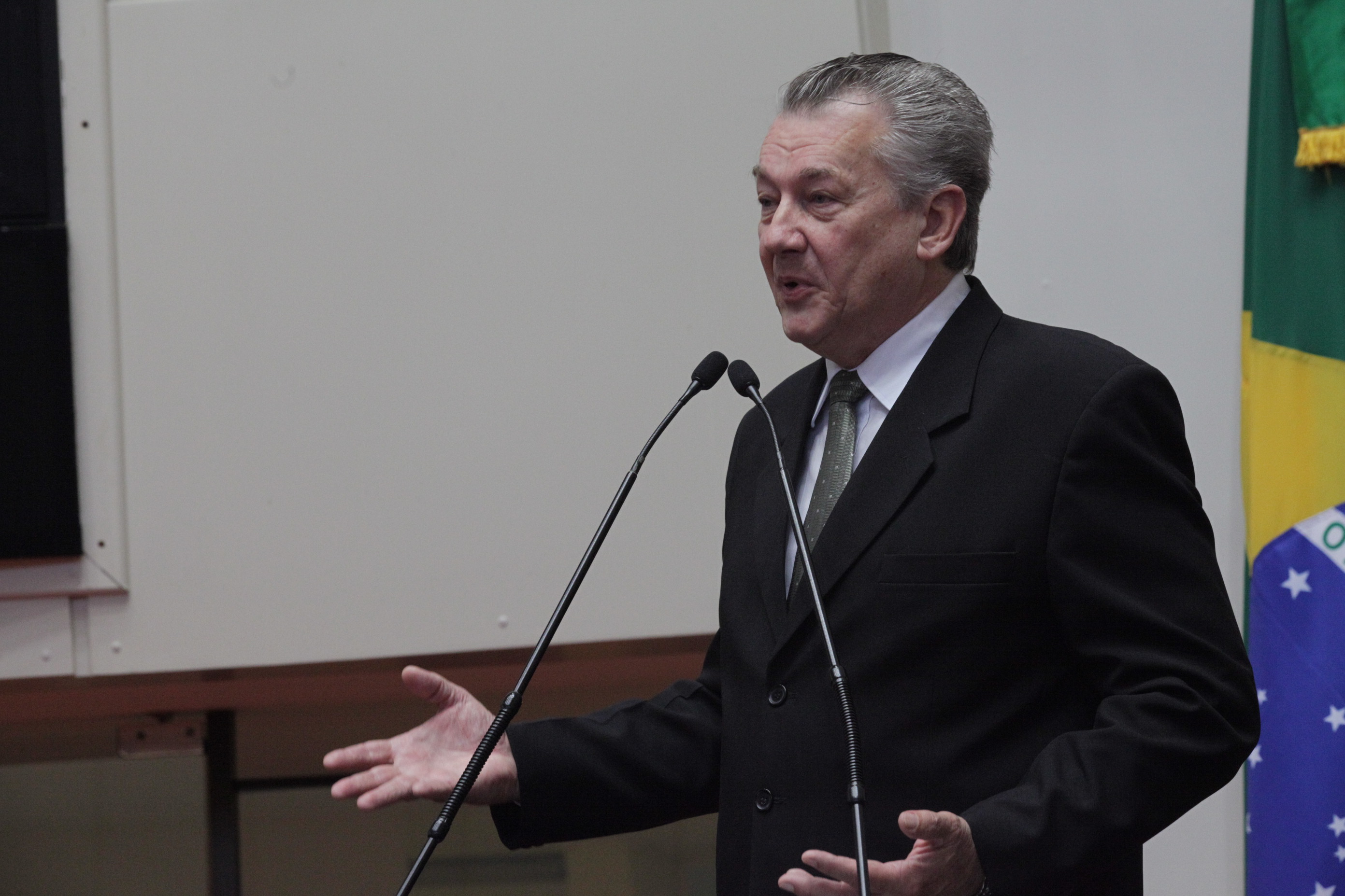 Sessão Plenária