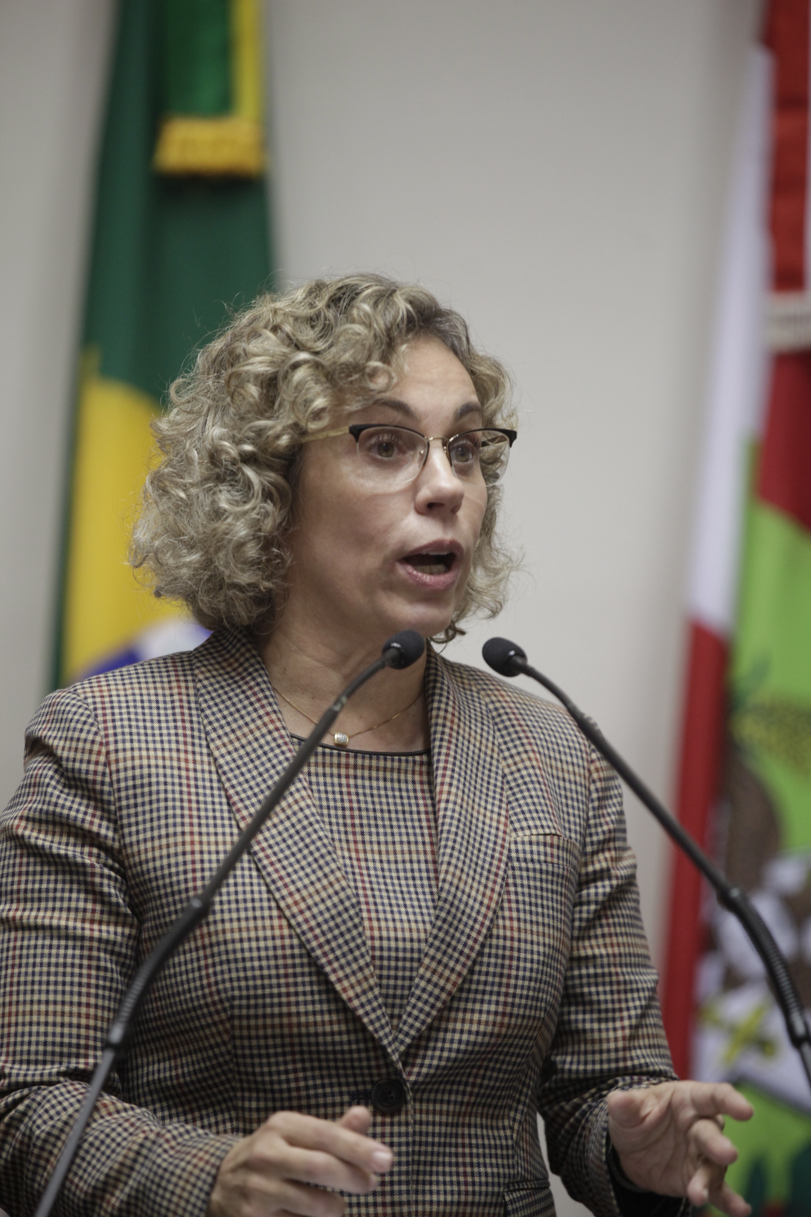 Deputada Ana Paula Lima (PT) - Sessão Plenária. Foto: Carlos Kilian/Agência AL