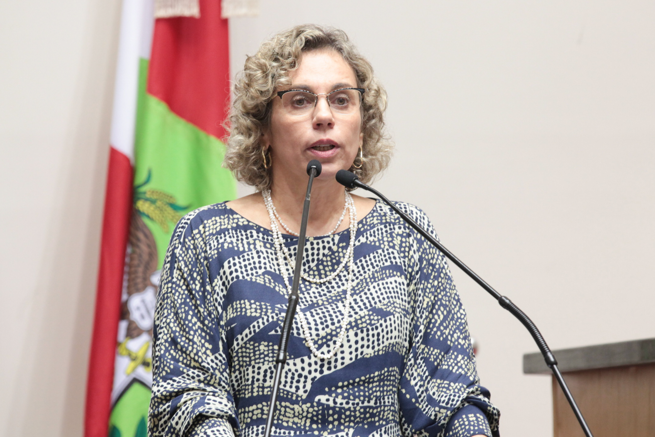 Sessão Ordinária - Dep. Ana Paula Lima (PT) - Foto: Juliana Stadnik / Agência AL
