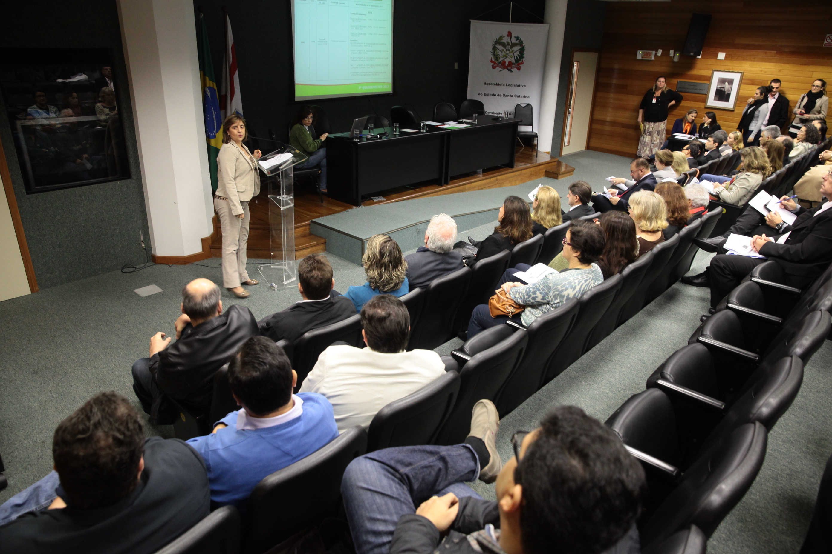 Audiência Pública Prestação de Contas SES - Foto: Miriam Zomer / Agência AL