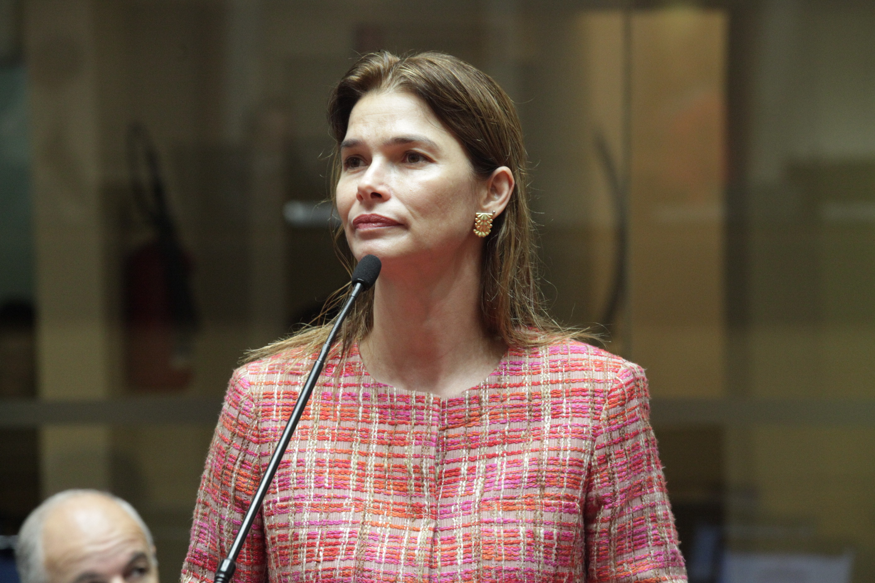 Deputada Angela Albino (PCdoB - Sessão Ordinária da Assembleia Legislativa do Estado de Santa Catarina. Foto: Solon Soares/Agência AL