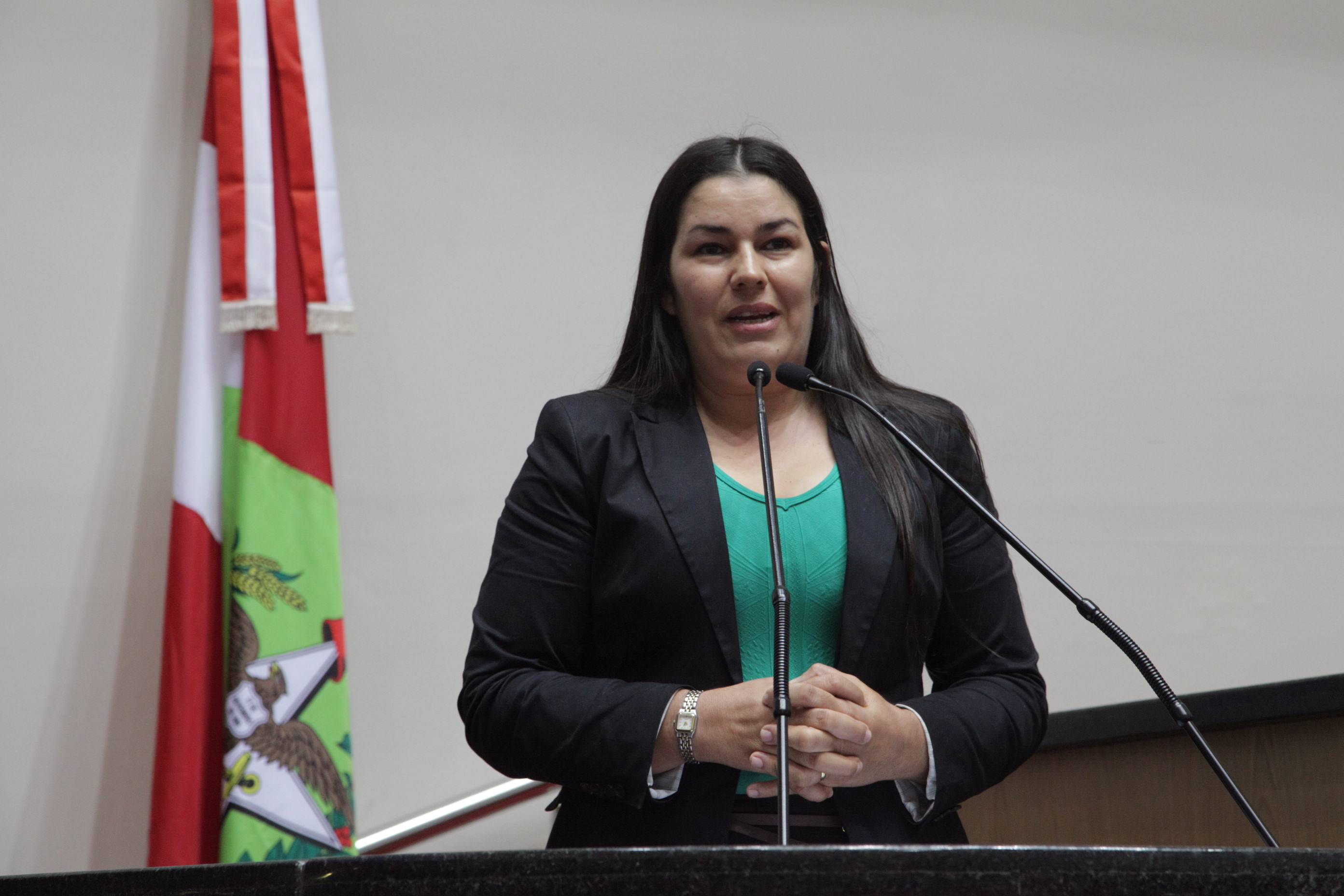 Rosane Cavalheiro. Sessão Ordinária da Assembleia Legislativa do Estado de Santa Catarina. Foto: Solon Soares/Agência AL