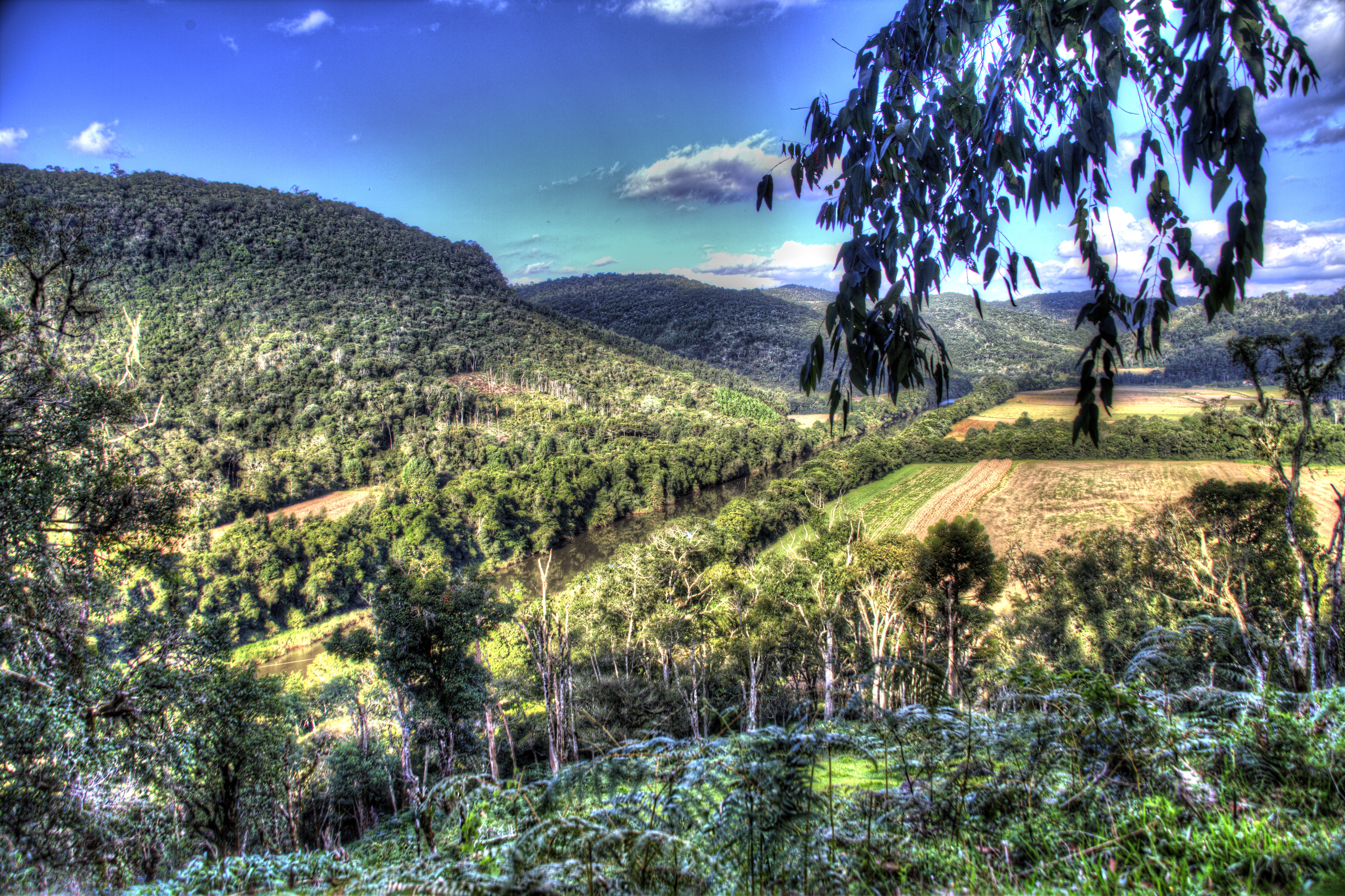 Zona rural de Santa Catarina. Foto: Fábio Queiroz / Agência AL