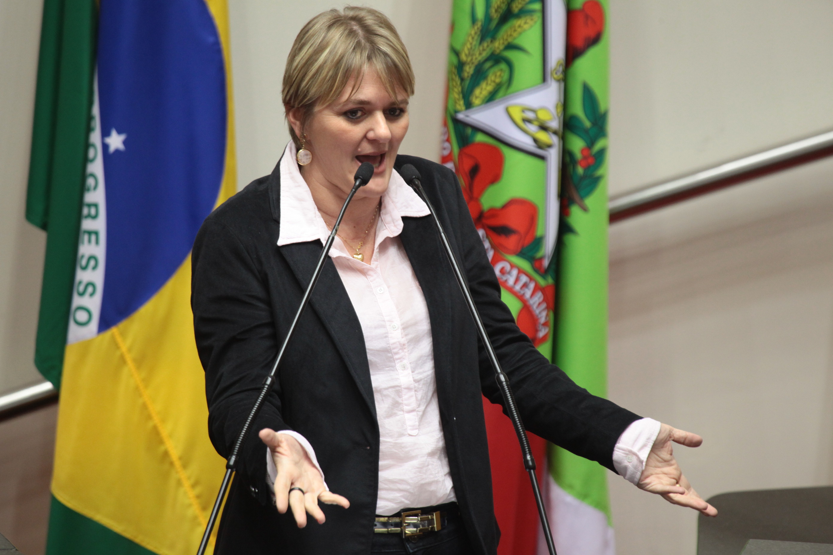 Deputada Luciane Carminatti (PT) Sessão Ordinária - Plenário Osni Regis. Foto: Miriam Zomer/Agência AL