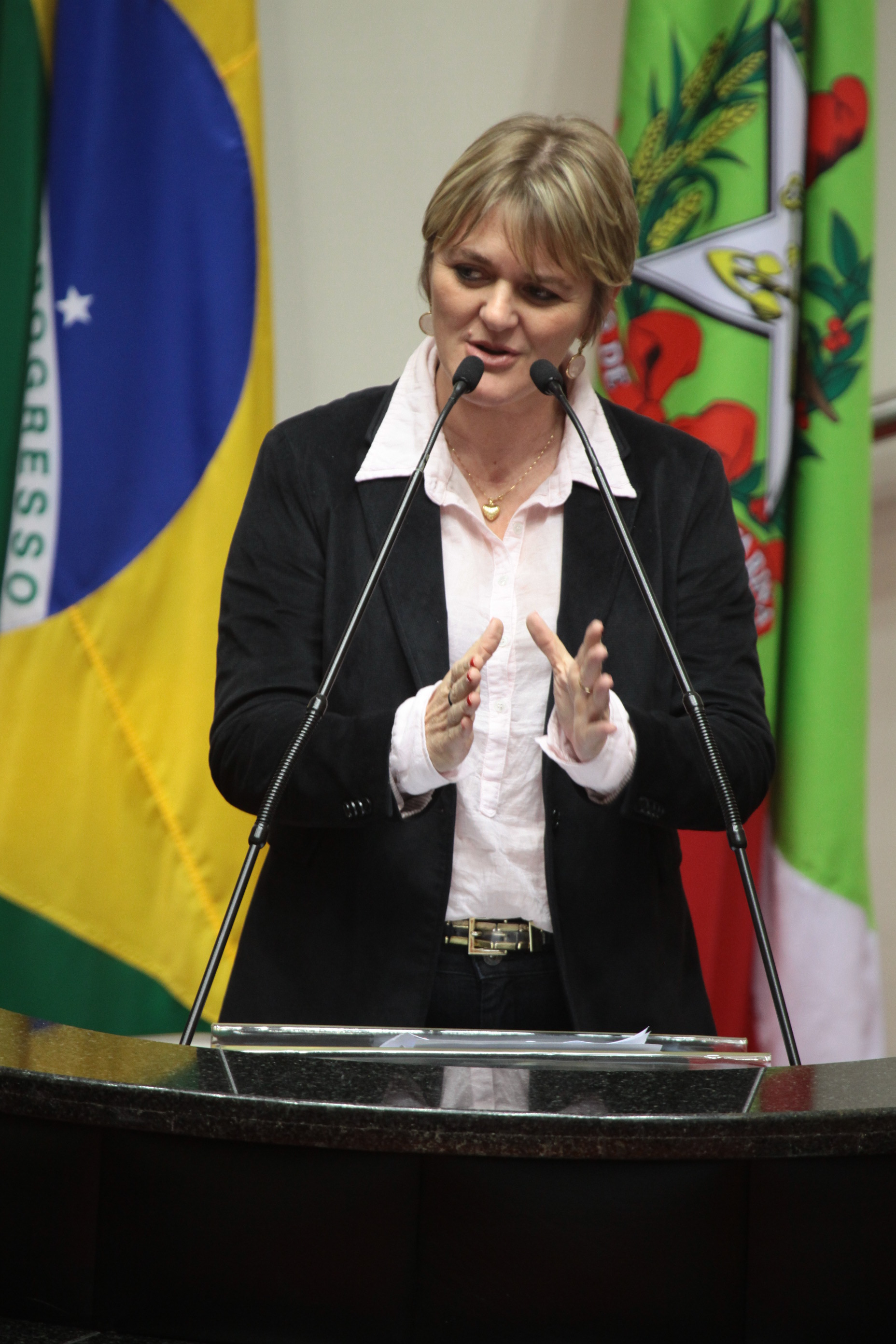 Deputada Luciane Carminatti (PT) Sessão Ordinária - Plenário Osni Regis. Foto: Miriam Zomer/Agência AL