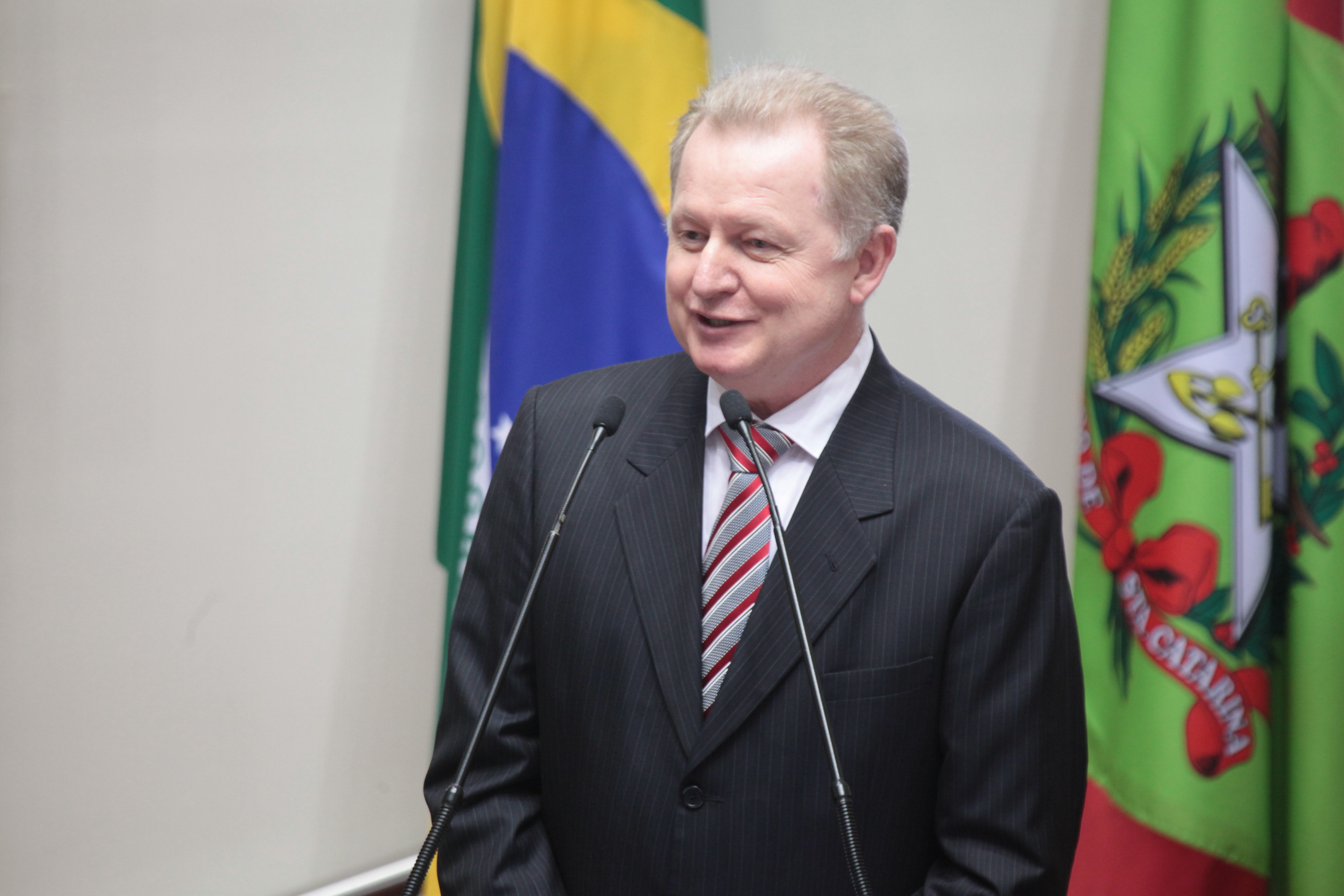 Sessão Ordinária - Plenário Osni Régis -  Dep. Carlos Stüpp (PSDB) - Foto: Juliana Stadnik / Agência AL