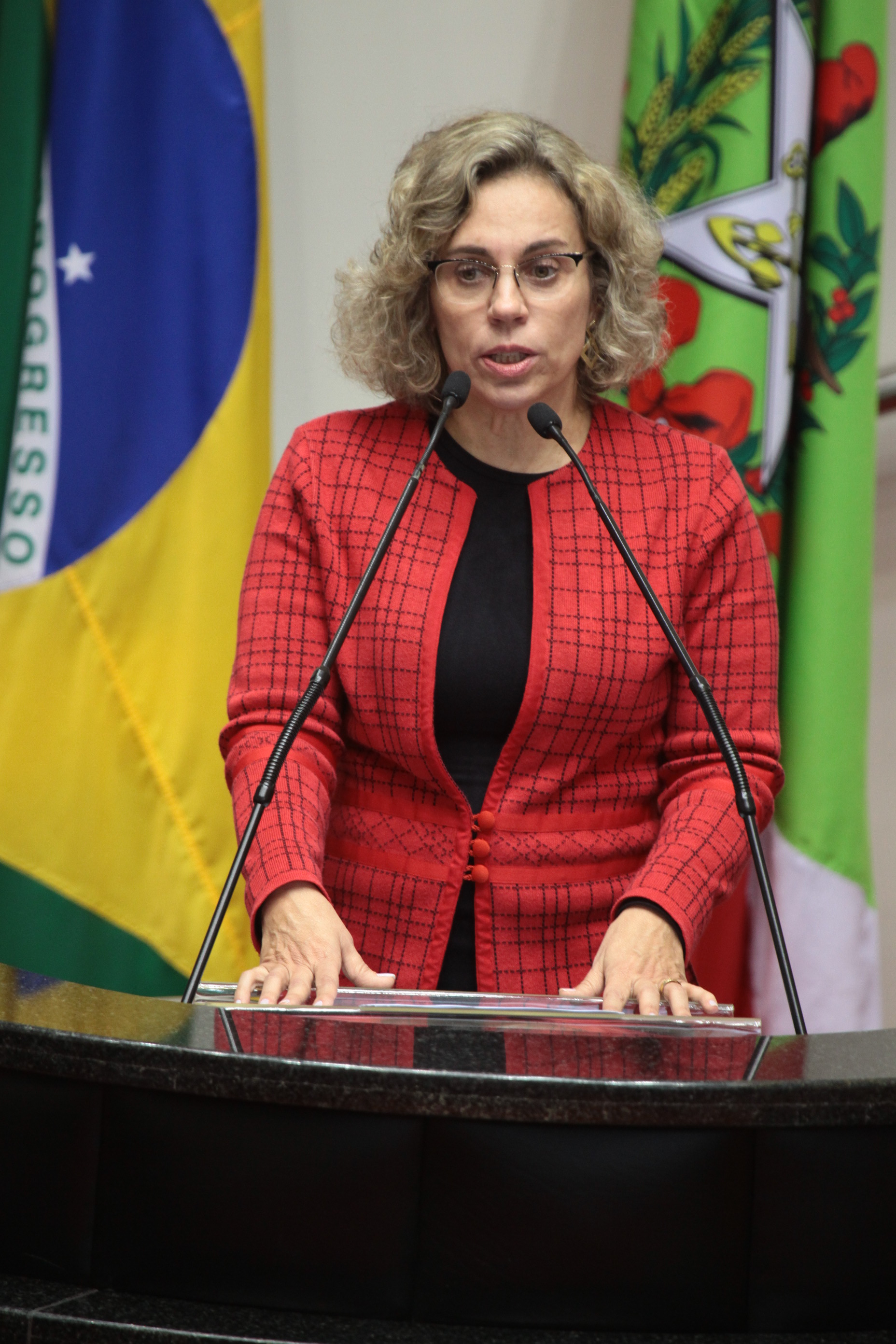 Deputada Ana Paula Lima (PT) Sessão Ordinária - Plenário Osni Regis. Foto: Miriam Zomer/Agência AL