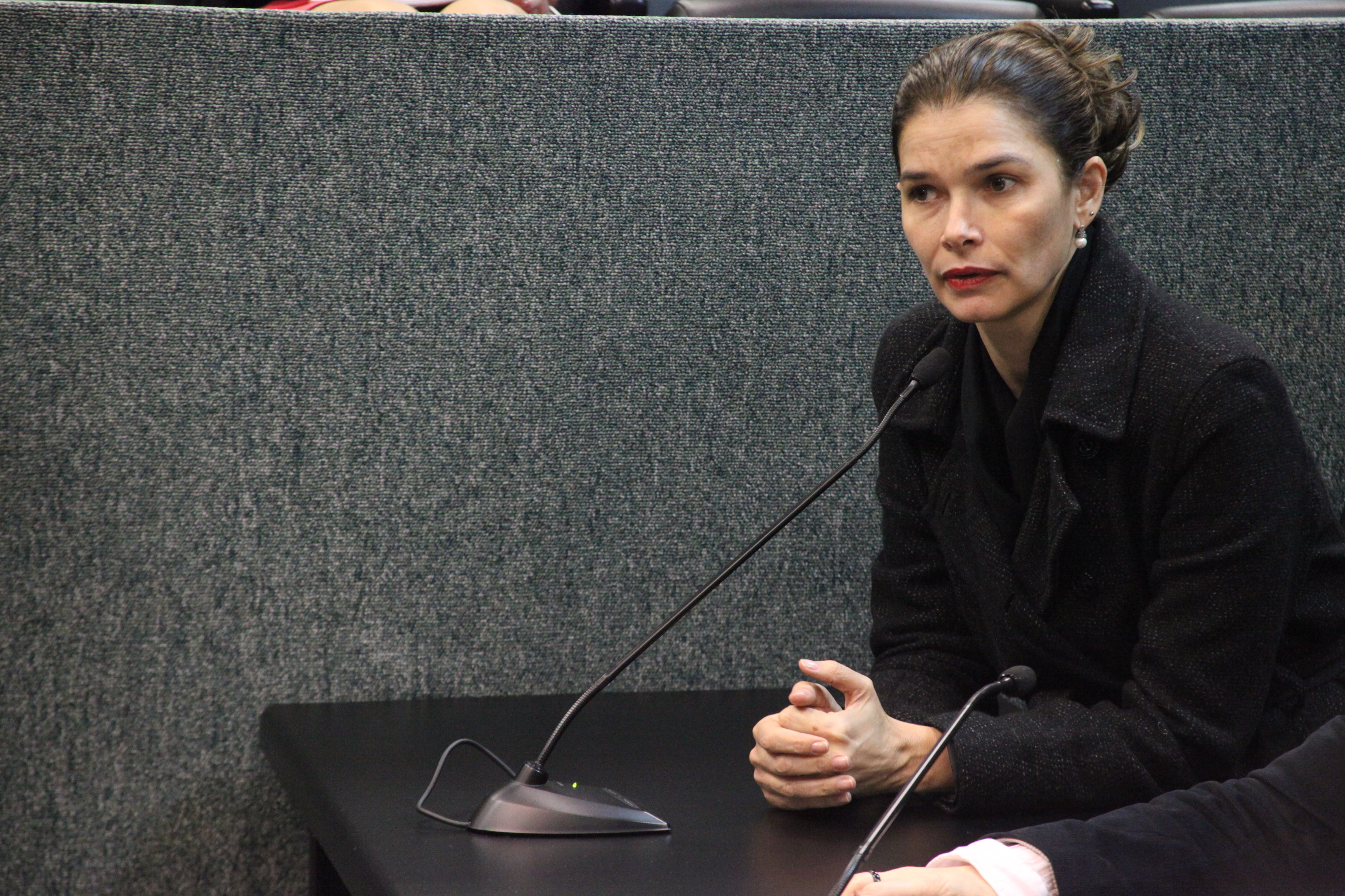 Deputada Angela Albino (PCdoB). Reunião da Comissão Finanças e Tributação. Foto: Fábio Queiroz / Agência AL