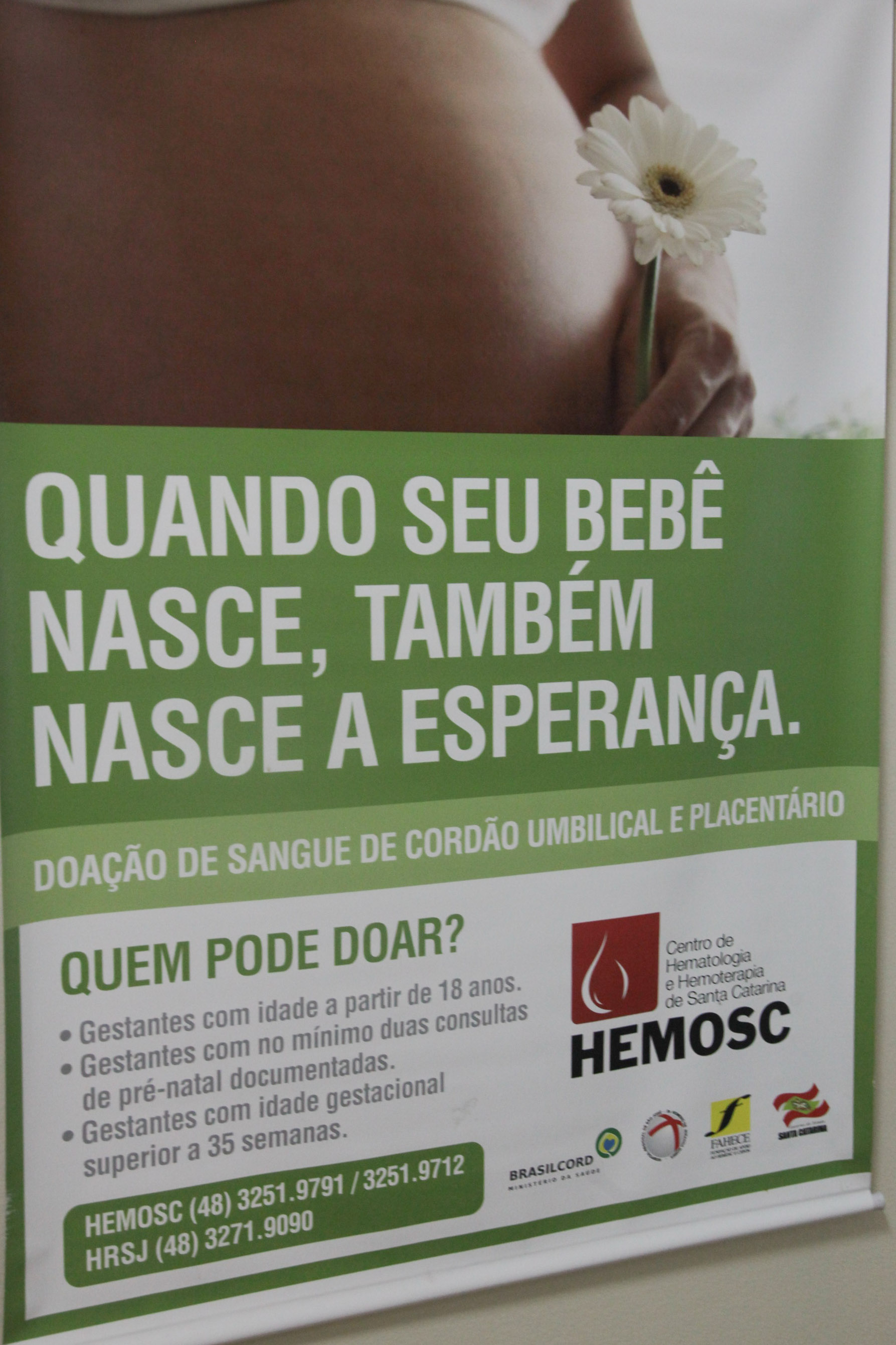 Hemosc - Coleta do Cordão Umbilical - Foto: Juliana Stadnik / Agência AL