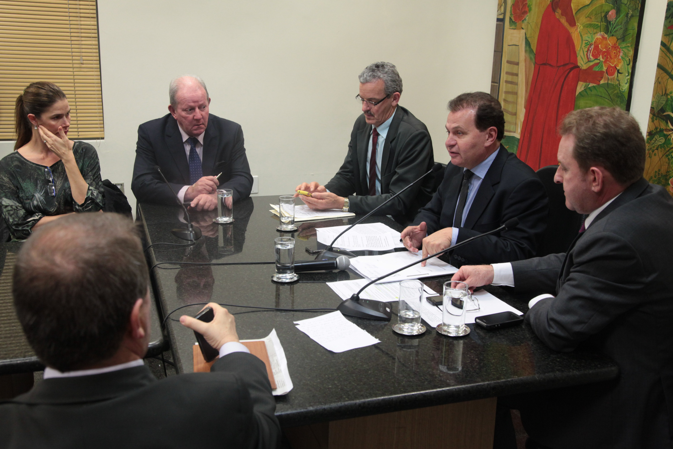 Comissão de Finanças e Tributação - Foto: Juliana Stadnik / Agência AL