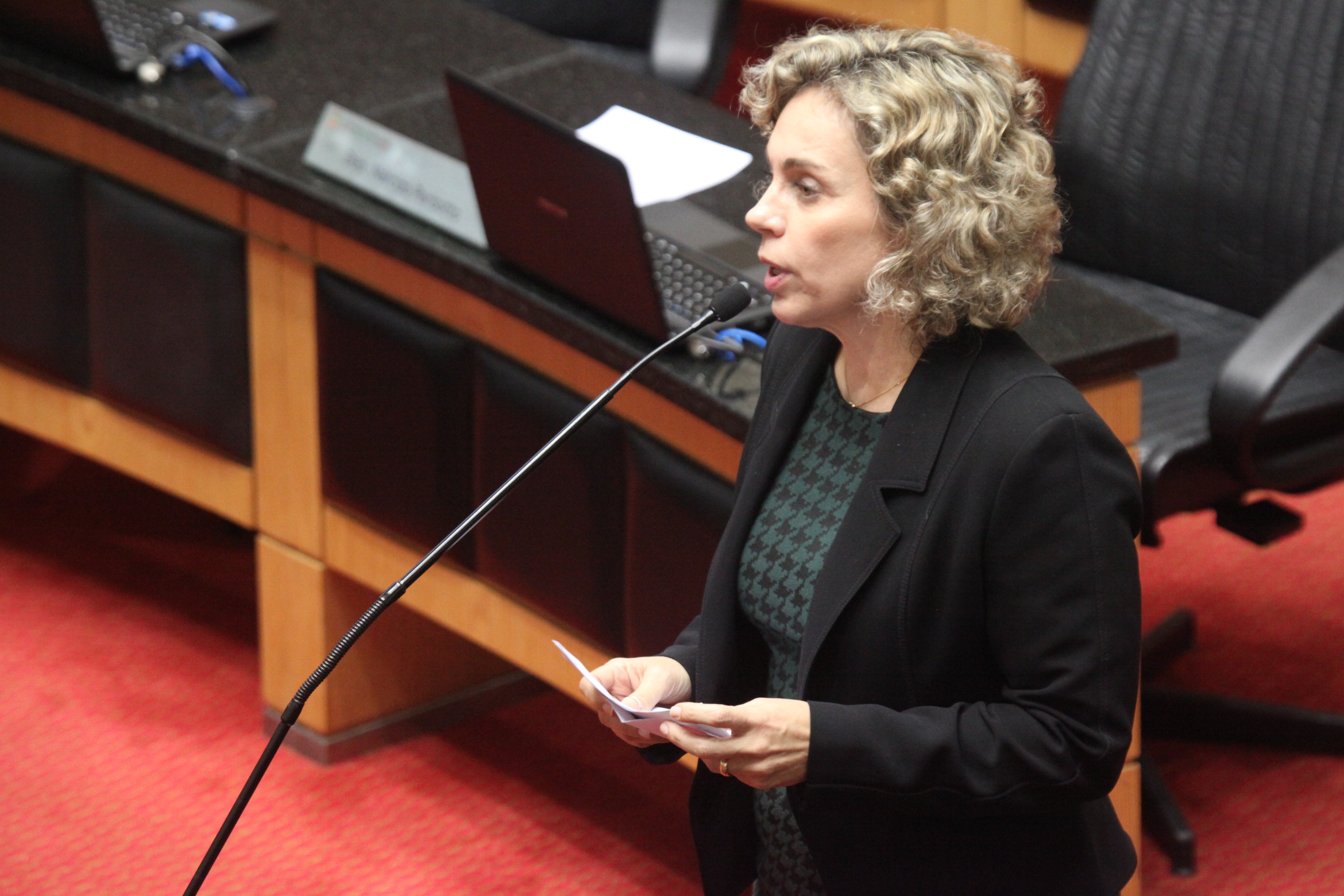 Deputada Ana Paula Lima (PT) - Sessão Ordinária. Foto: Fábio Queiroz / Agência AL